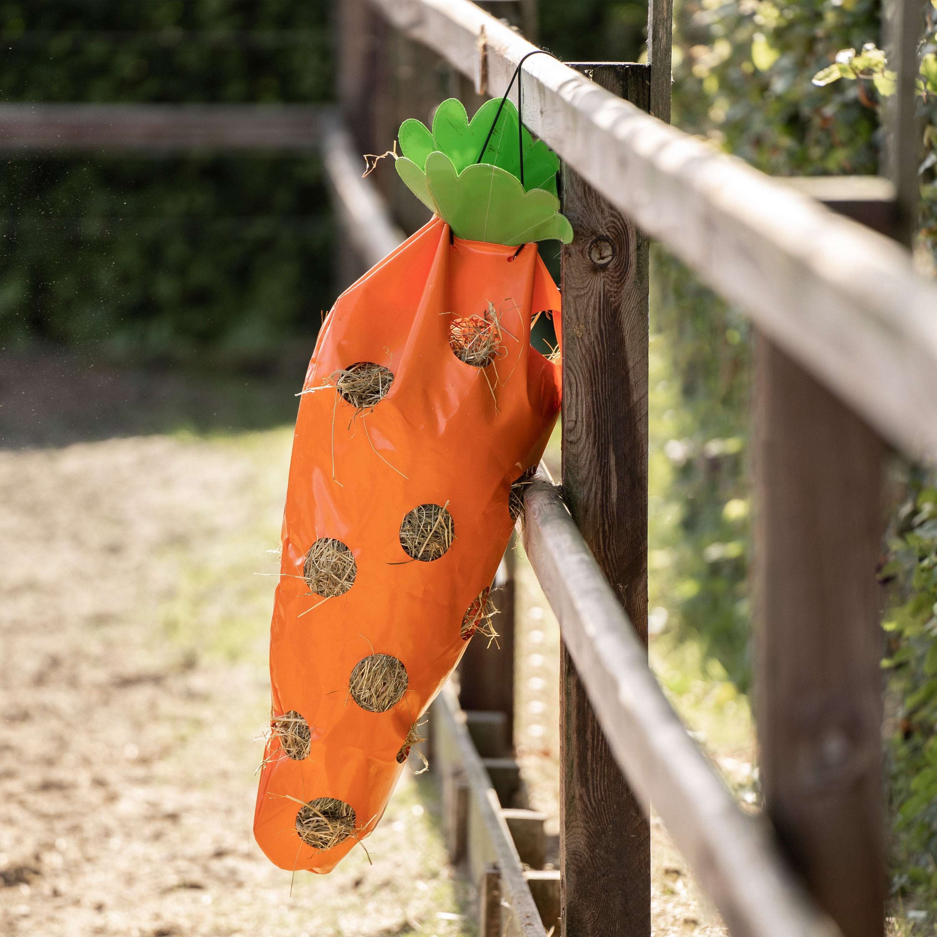 Hay bag IRHCarrot