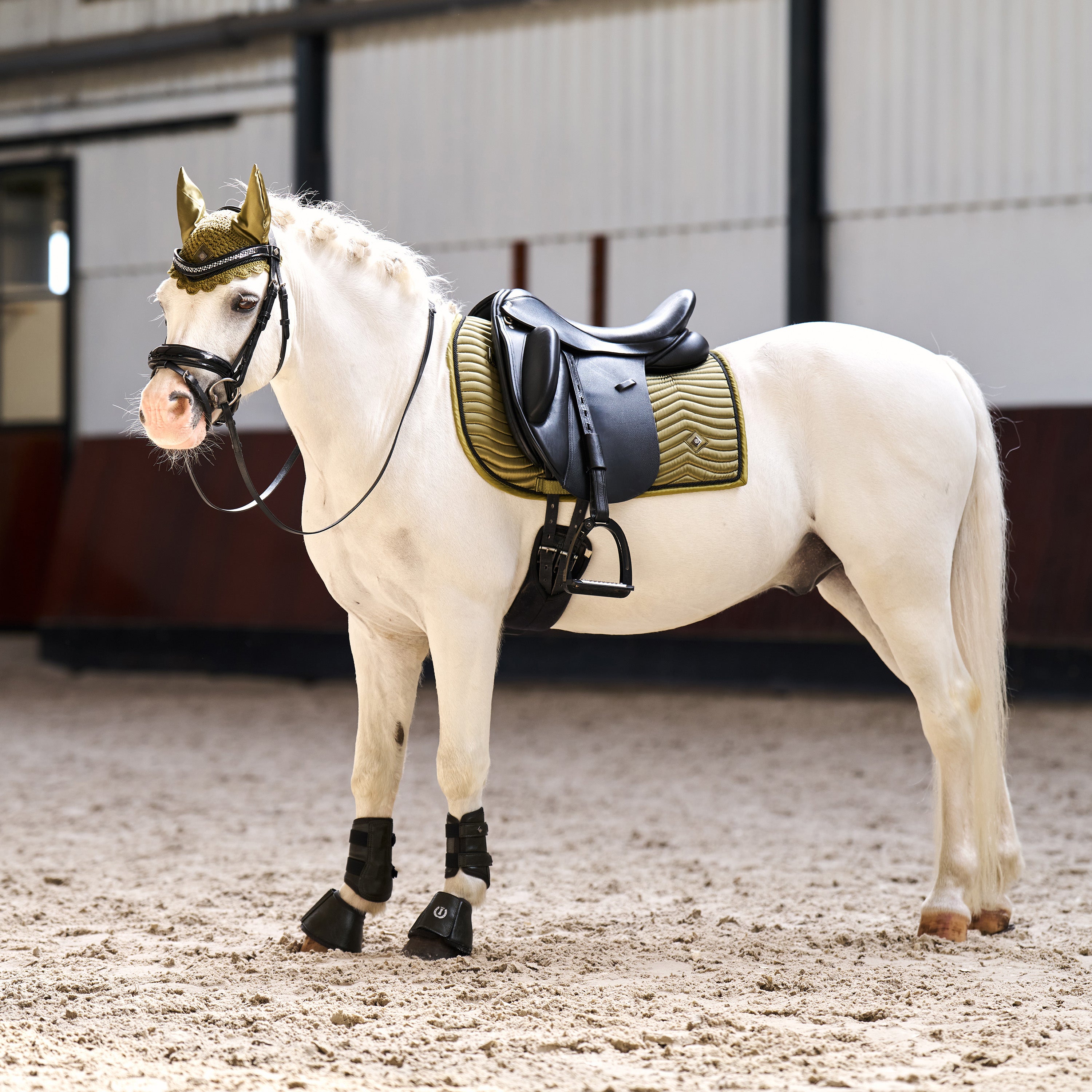 Saddlepad IRHRebel DR