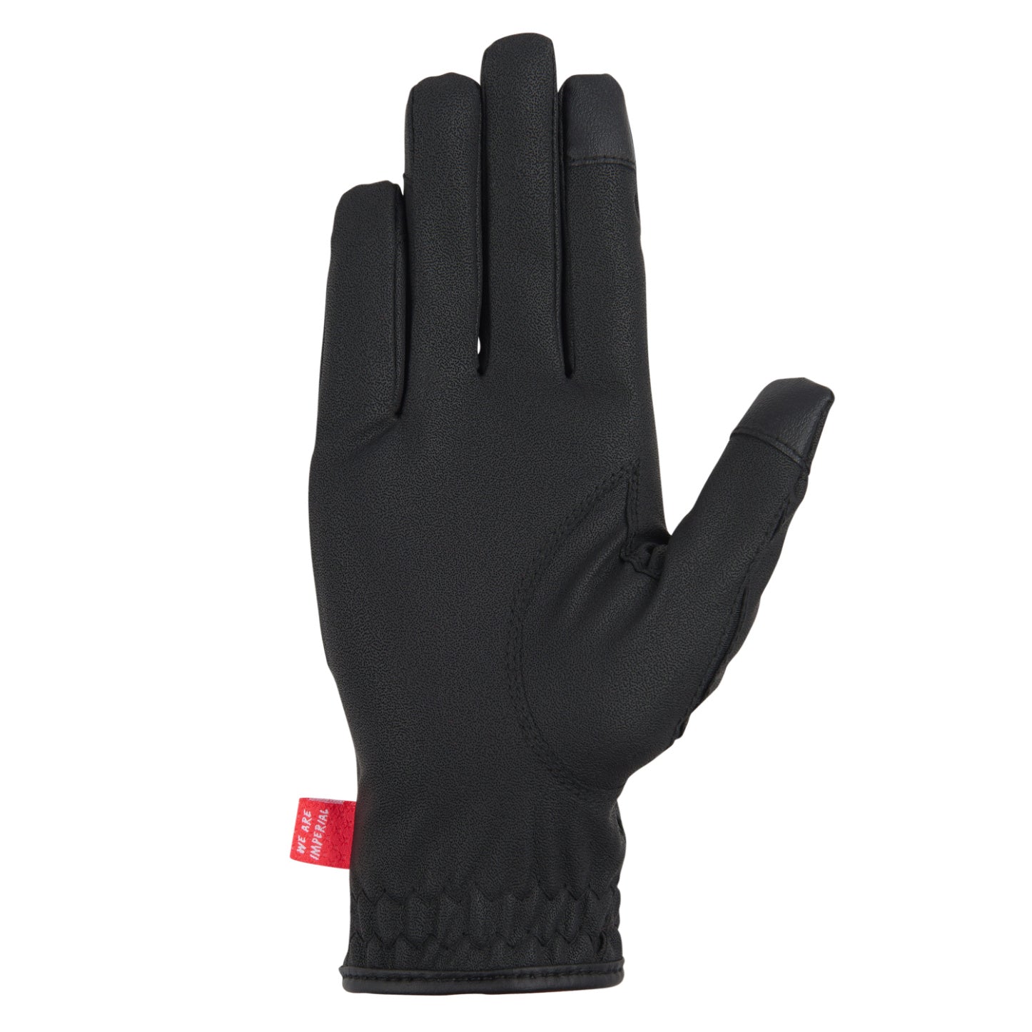 Gloves IRHThe Basics