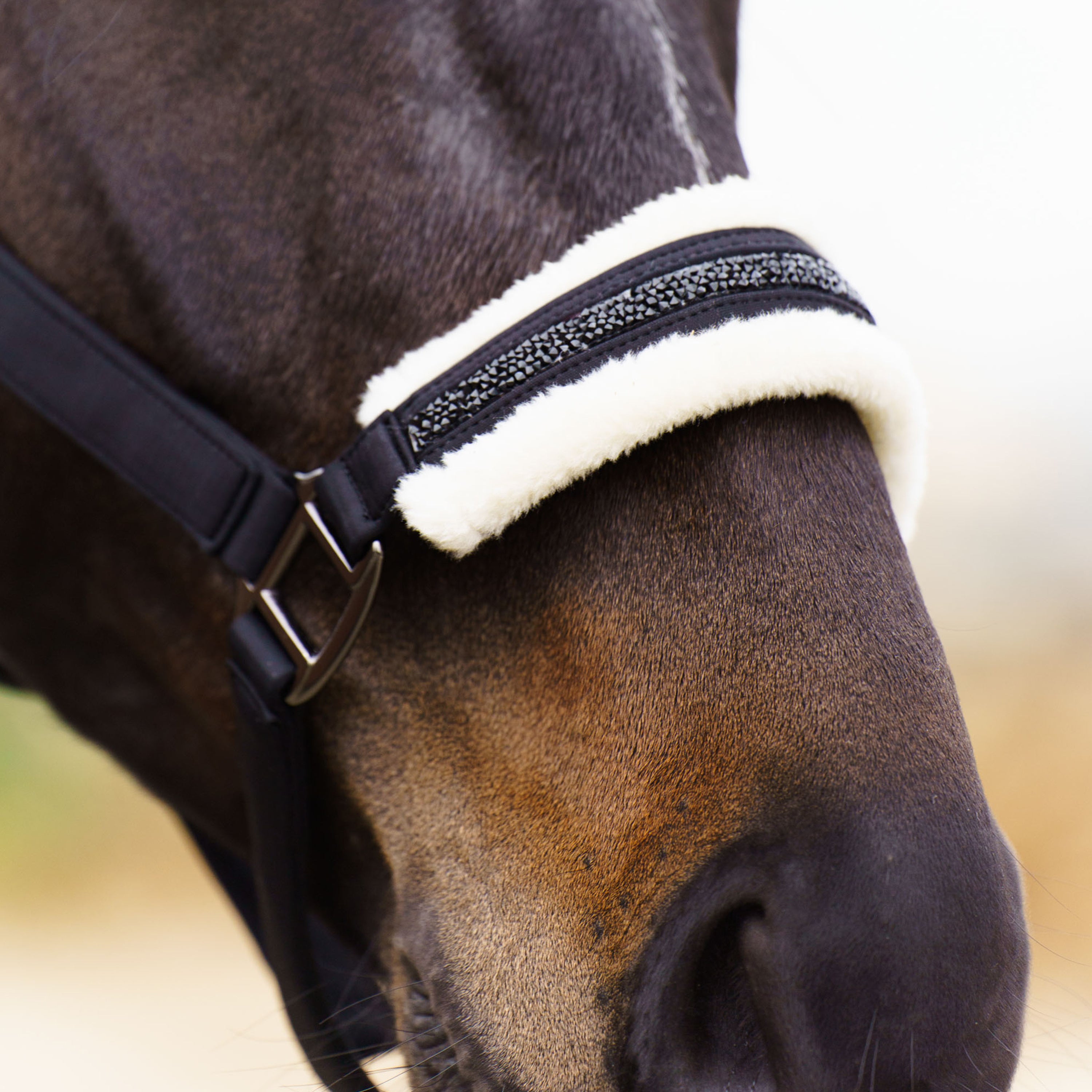 Headcollar IRHJewel