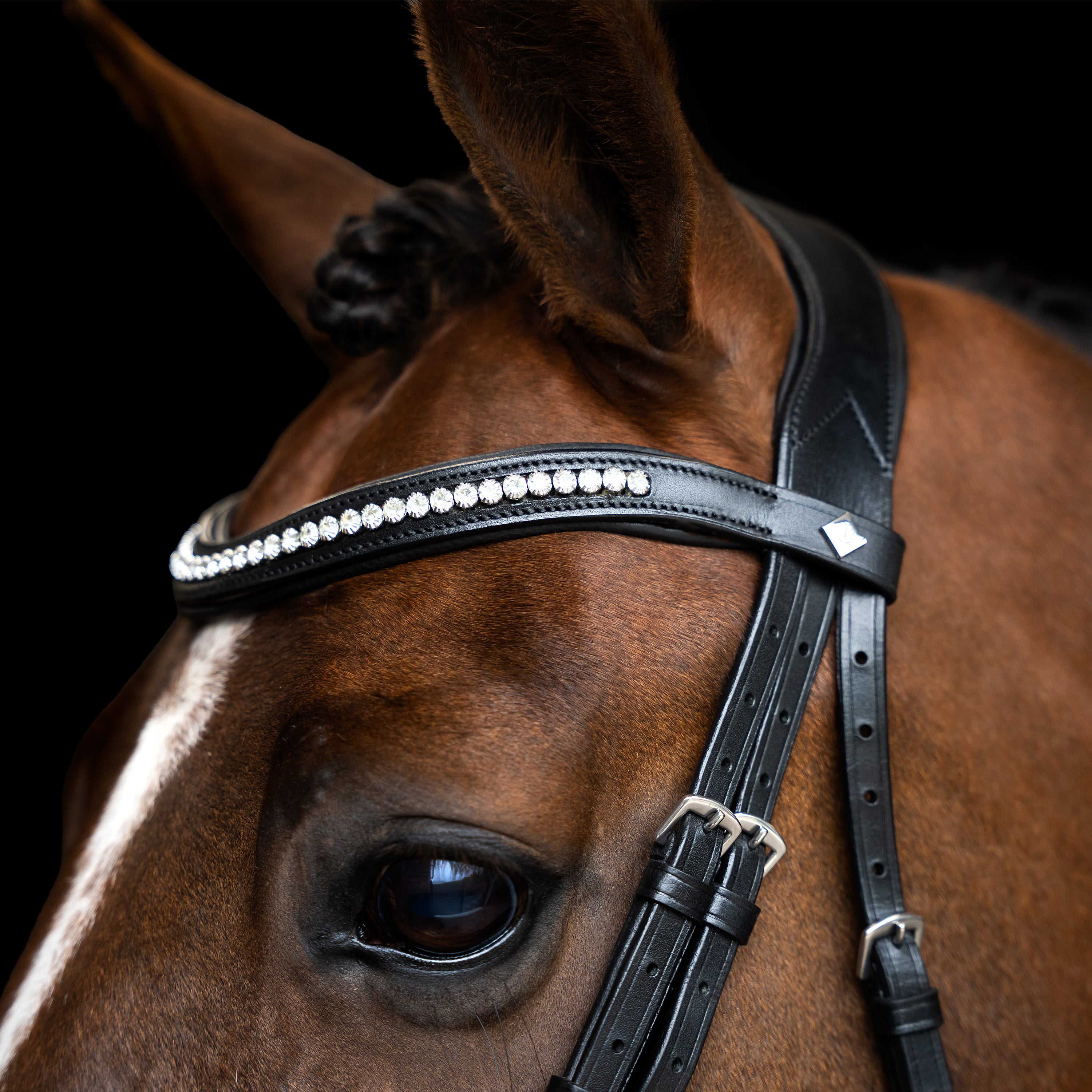 Bridle IRH combined noseband simple