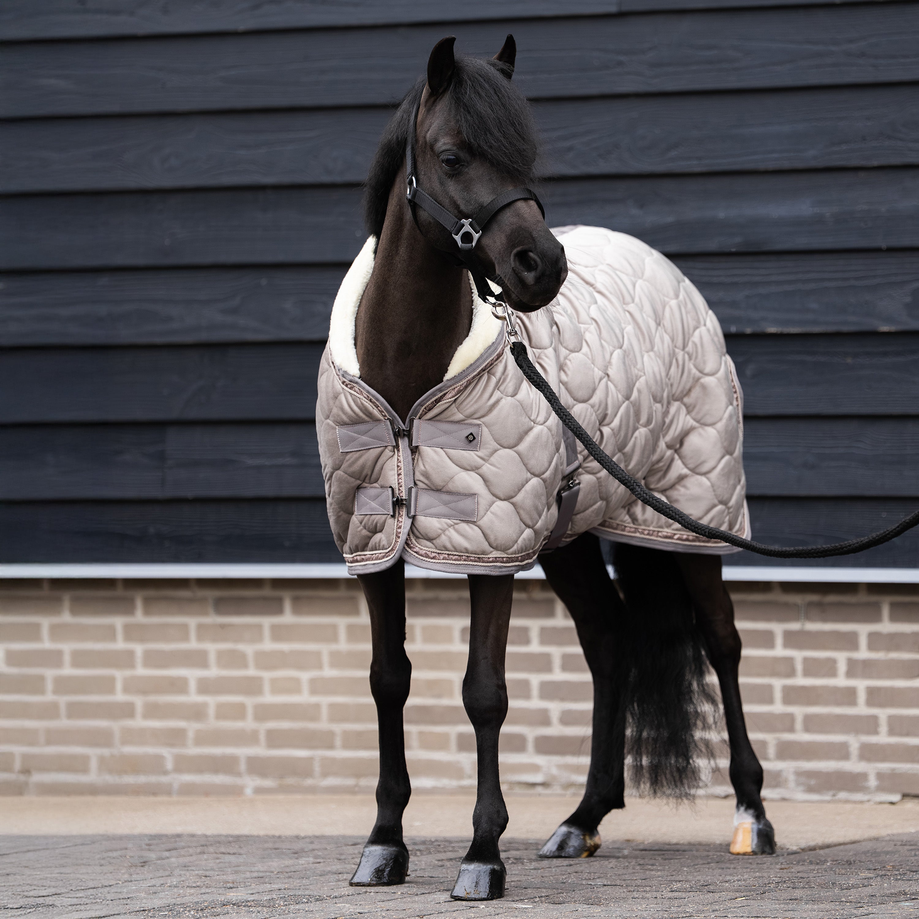 Show blanket IRHBandit
