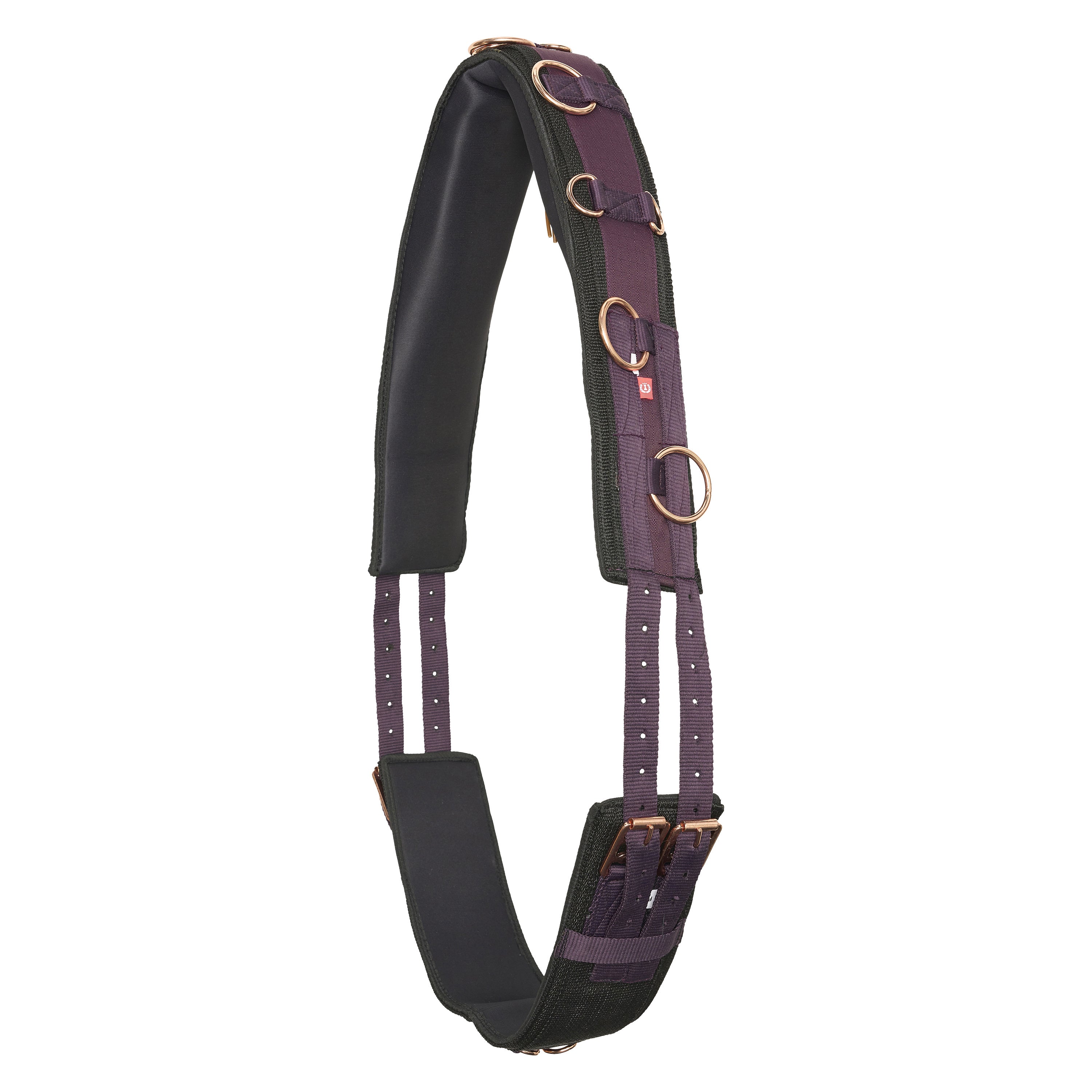 Lunging girth IRHDeluxe Extra