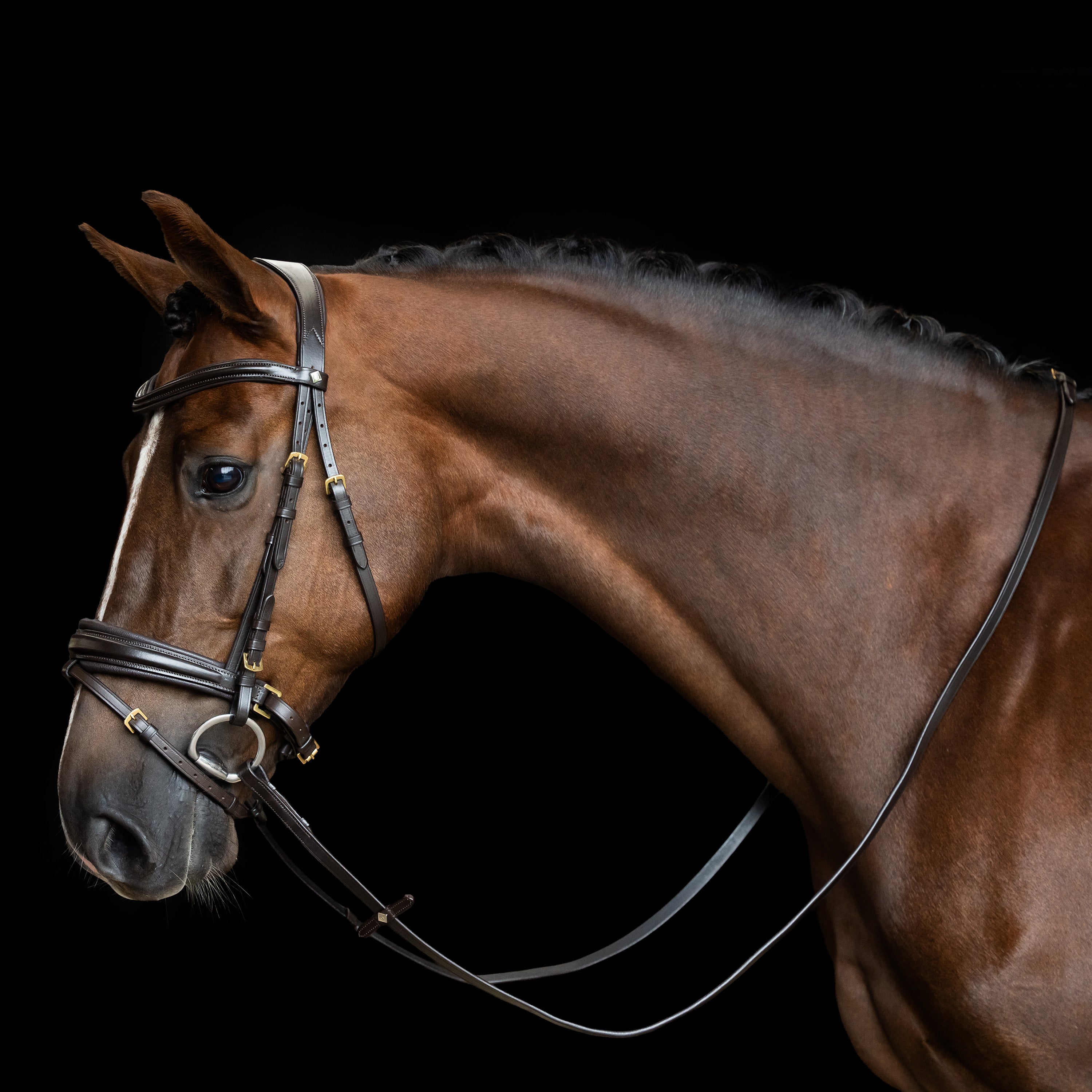 Reins IRH smooth leather