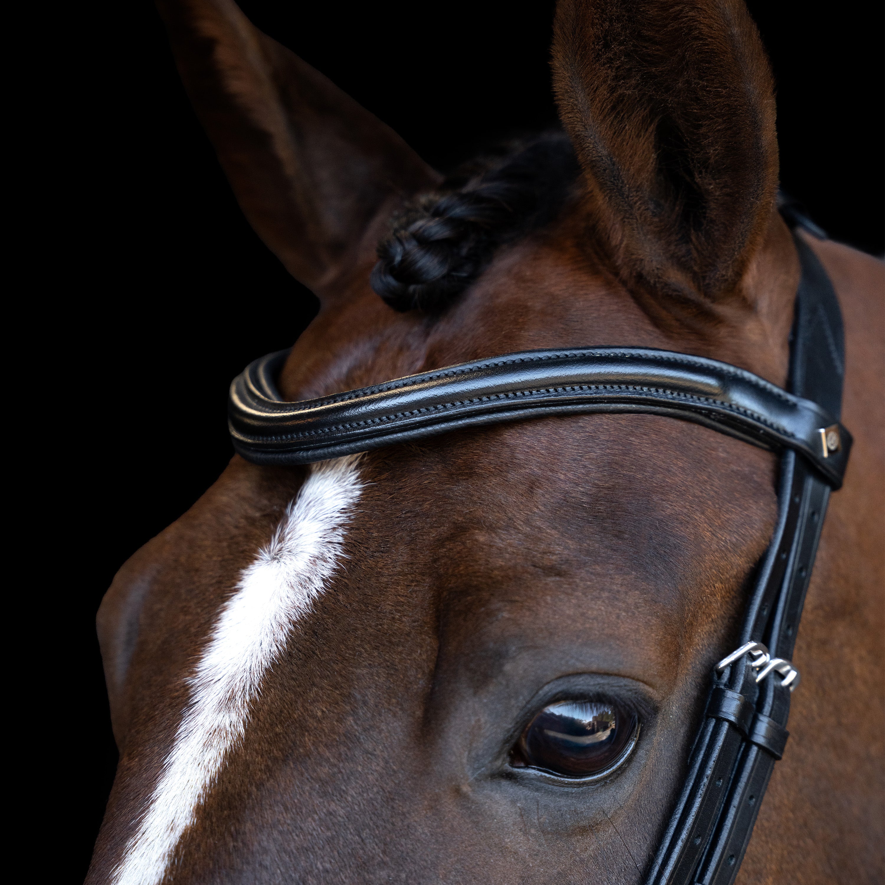 Bridle with ergonomic drop noseband/flash IRH