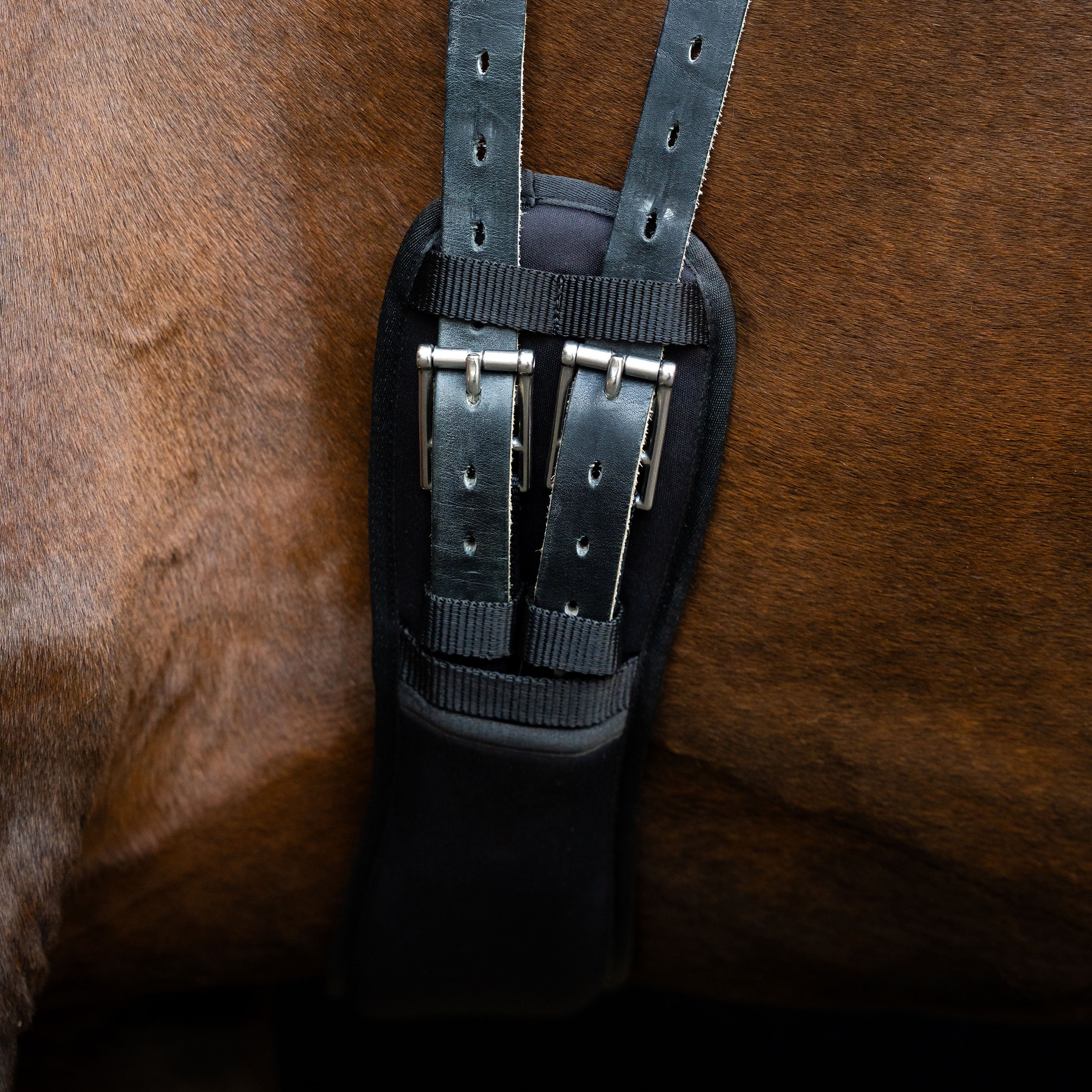 Dressage girth IRH memory foam