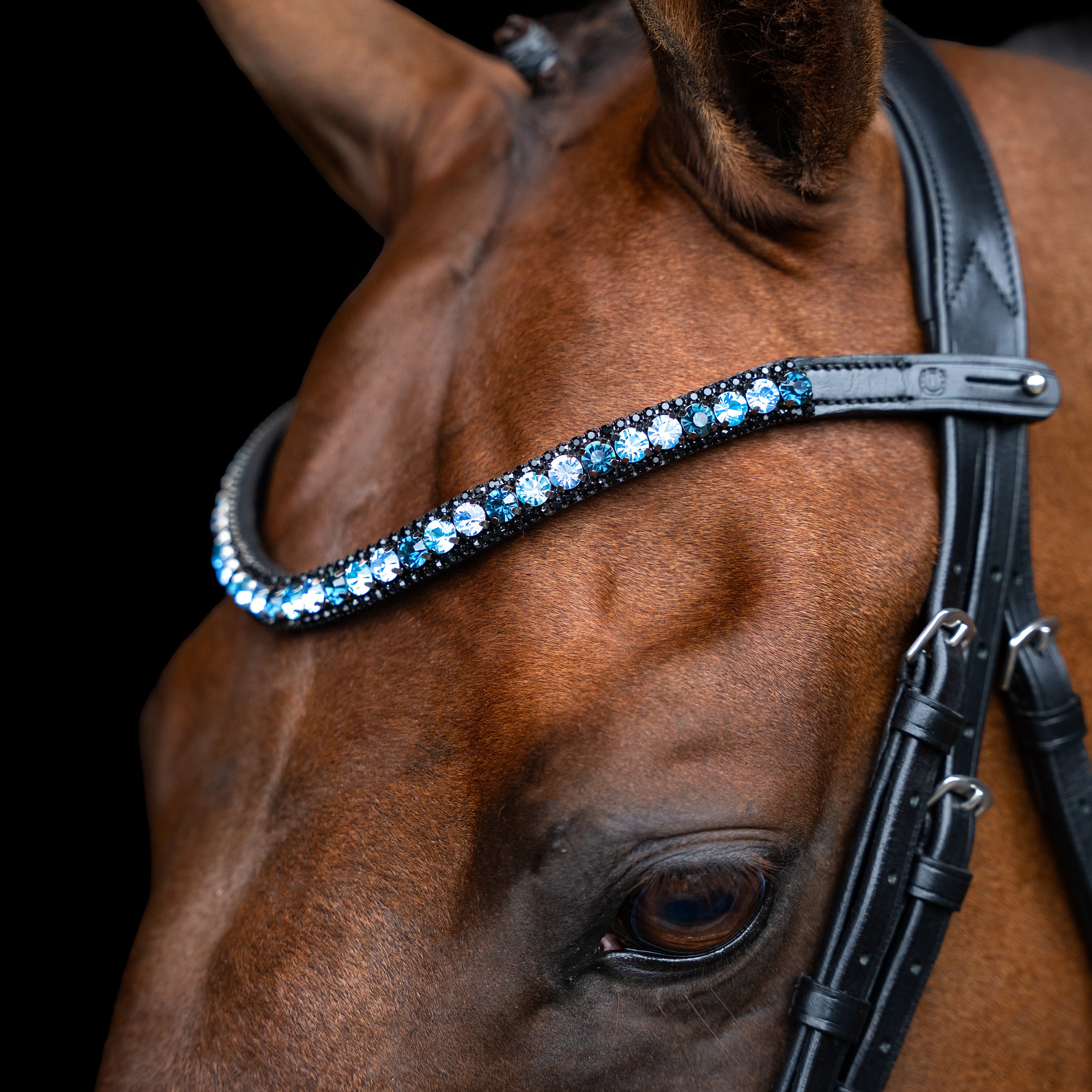 Browband IRHGrande