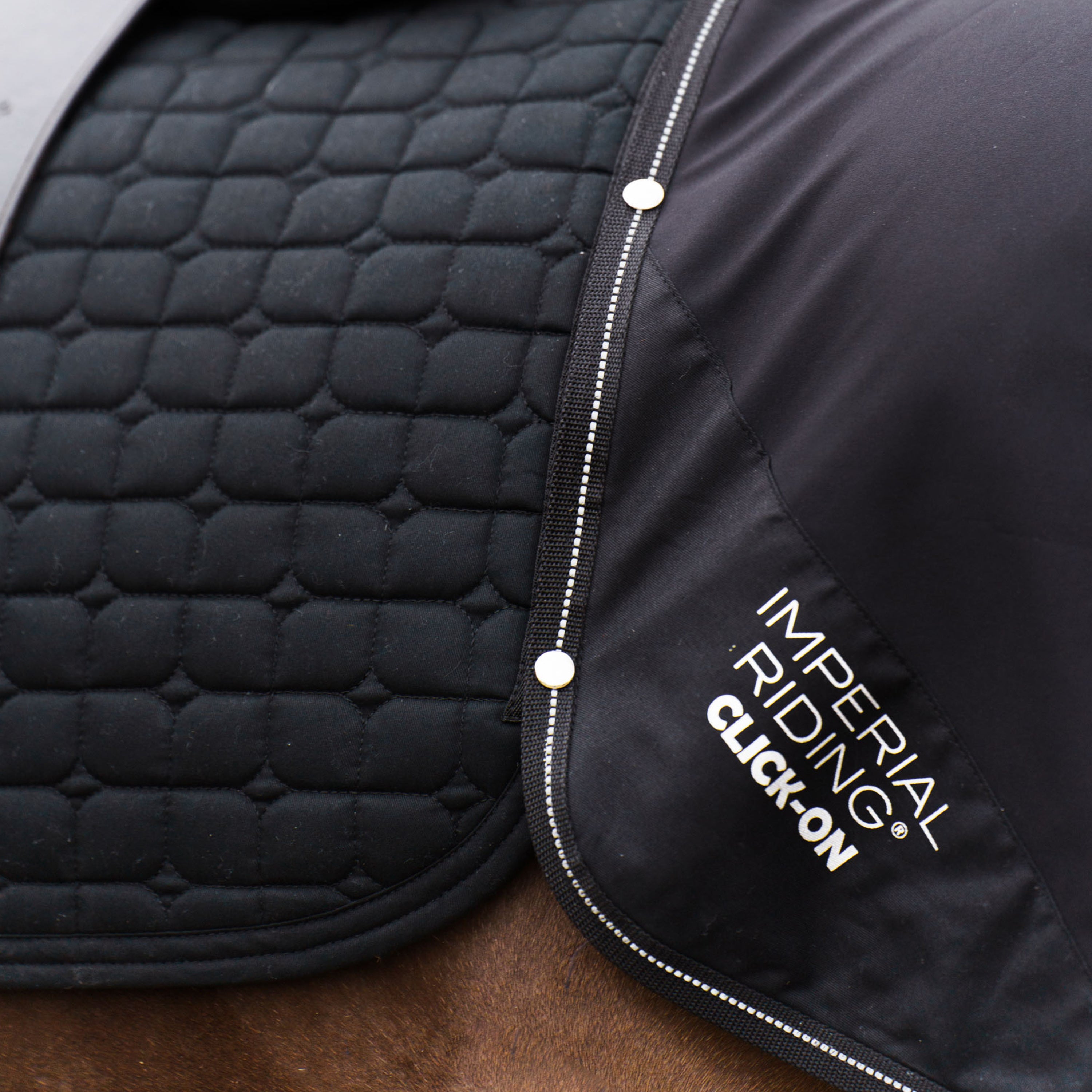 Saddlepad IRHMultiride DR