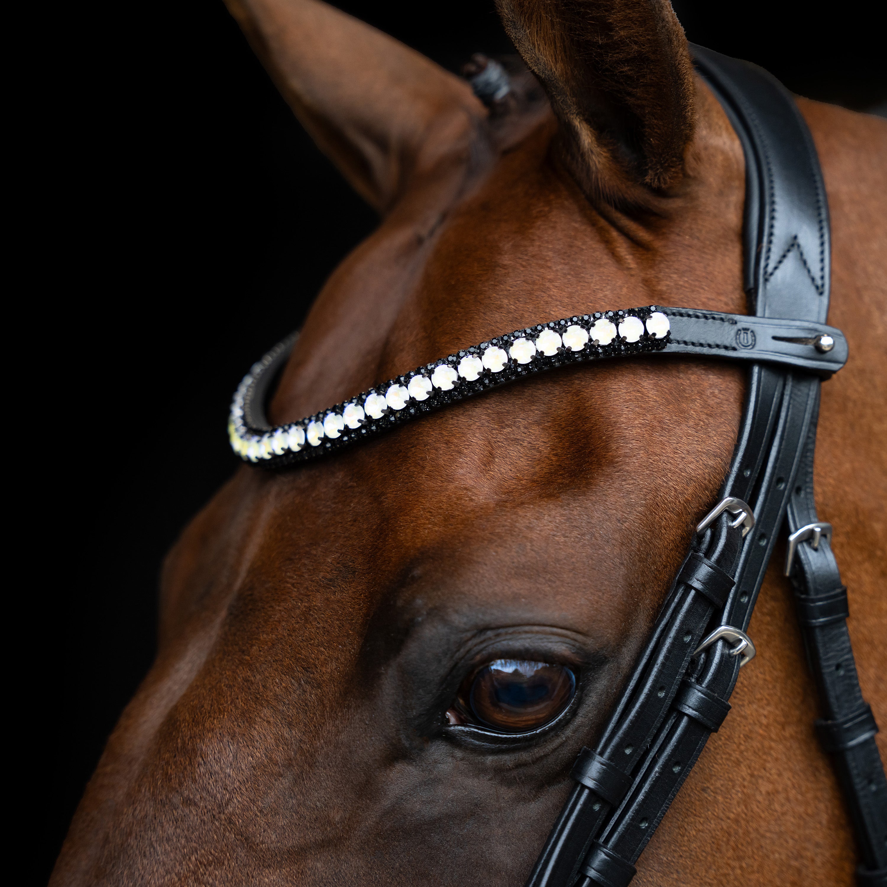 Browband IRHMaxima