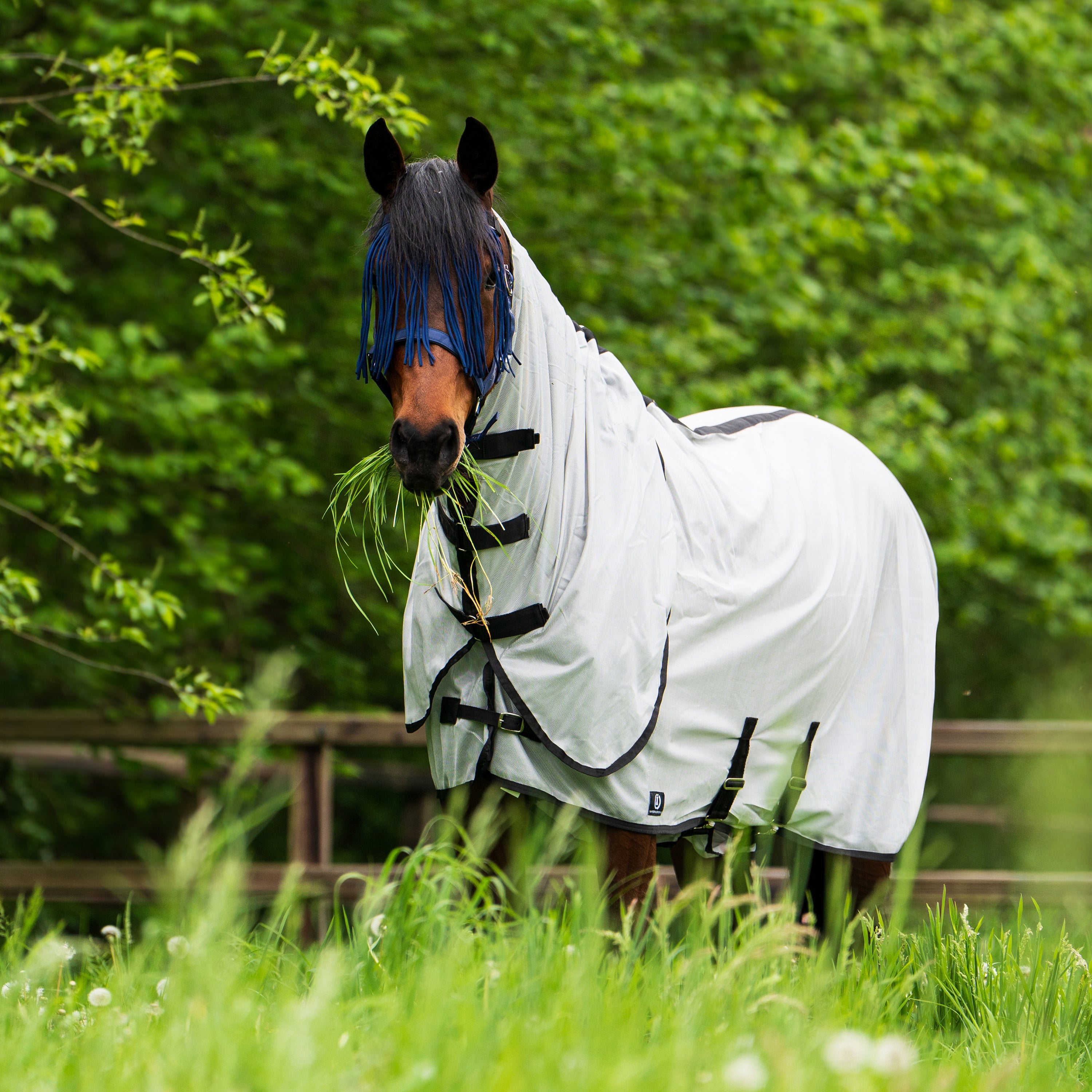 Fly blanket IRHReese