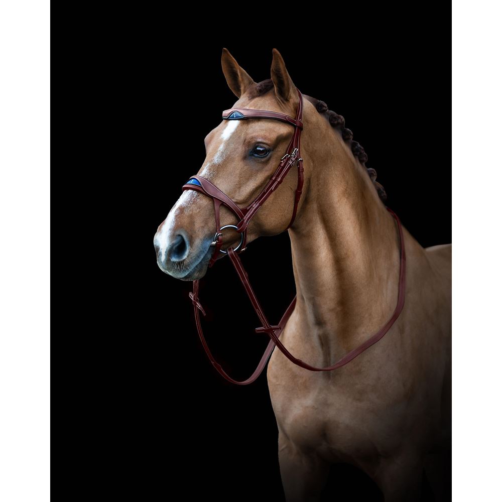 https://www.ikonicsaddlery.com/image?FileId=24251&preset=C_ZOOM
