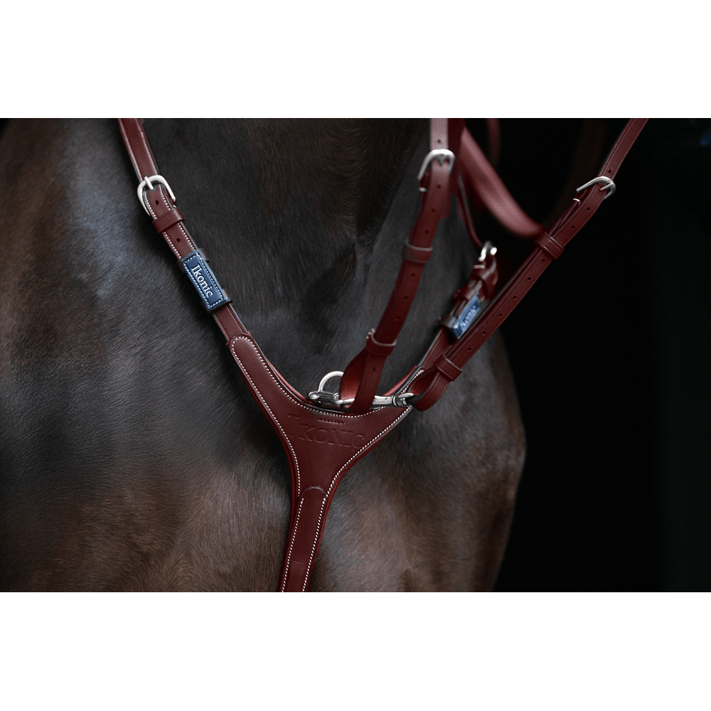 https://www.ikonicsaddlery.com/image?FileId=24291&preset=C_ZOOM