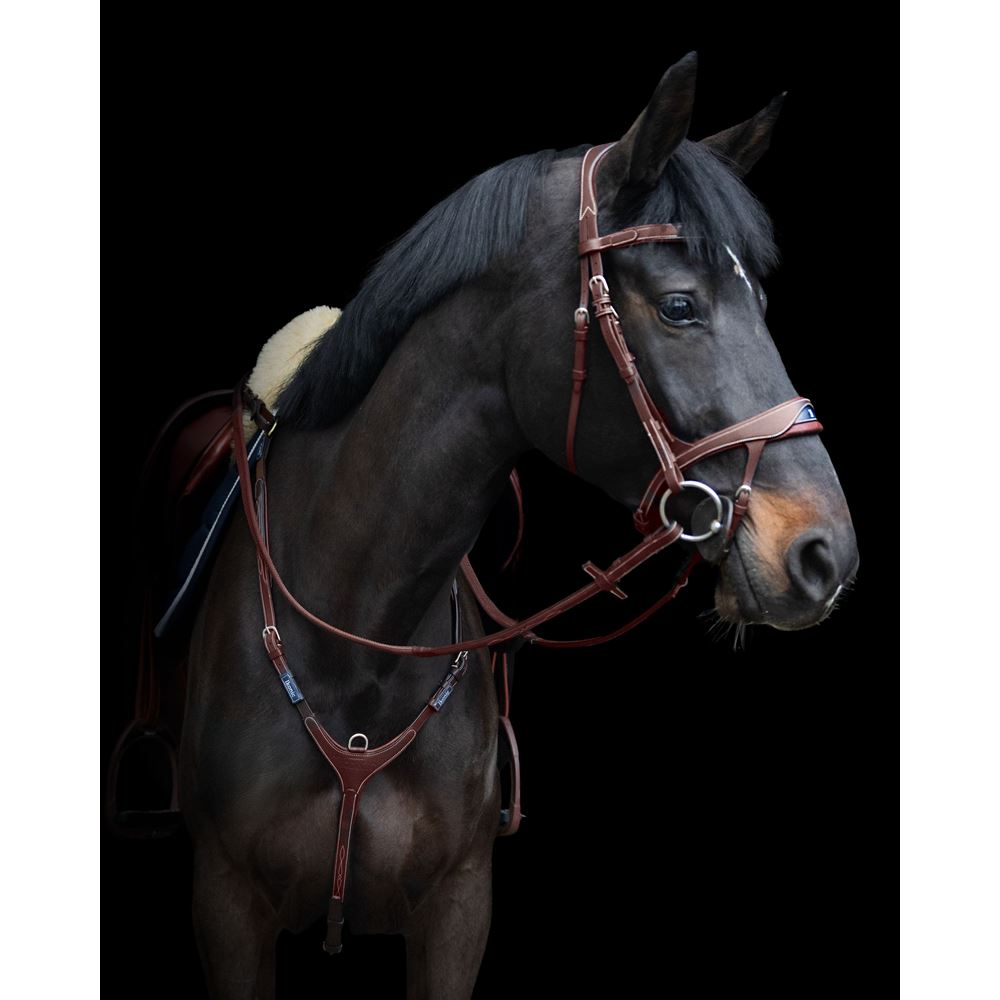 https://www.ikonicsaddlery.com/image?FileId=24287&preset=C_ZOOM