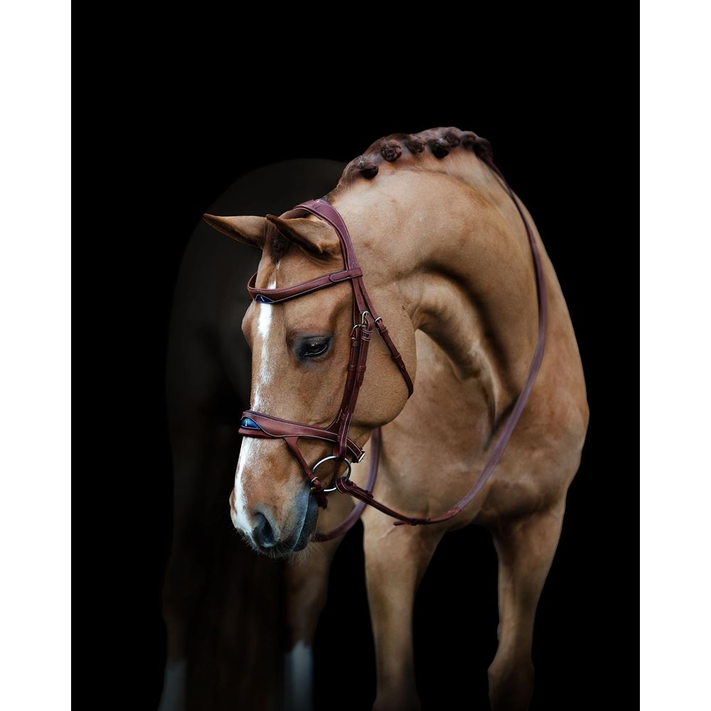 https://www.ikonicsaddlery.com/image?FileId=24243&preset=C_ZOOM
