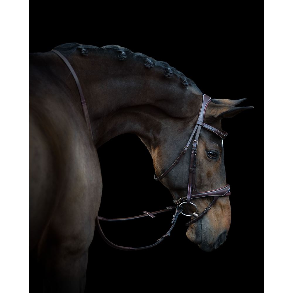 https://www.ikonicsaddlery.com/image?FileId=24247&preset=C_ZOOM