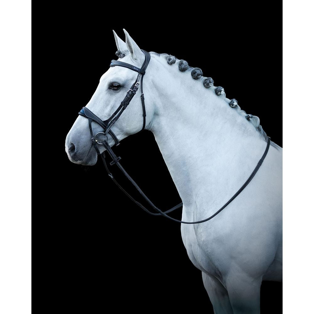 https://www.ikonicsaddlery.com/image?FileId=24250&preset=C_ZOOM