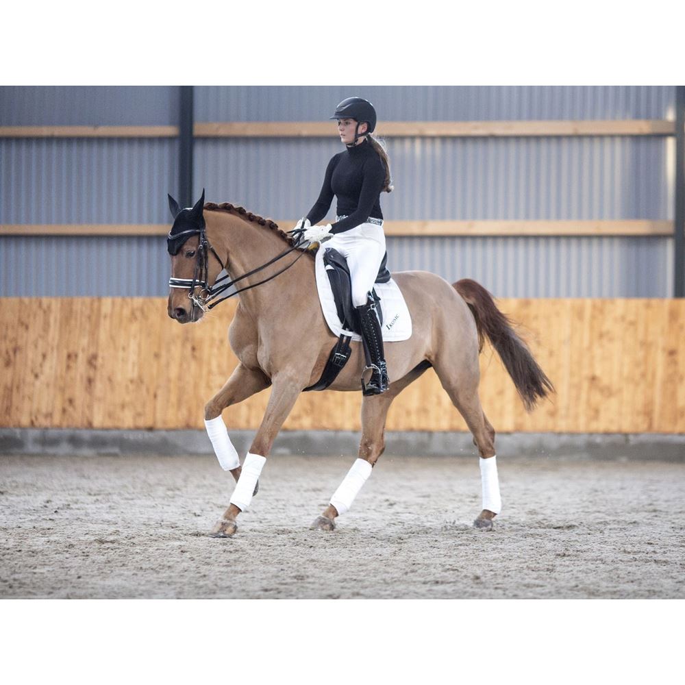 https://www.ikonicsaddlery.com/image?FileId=9439&preset=C_ZOOM