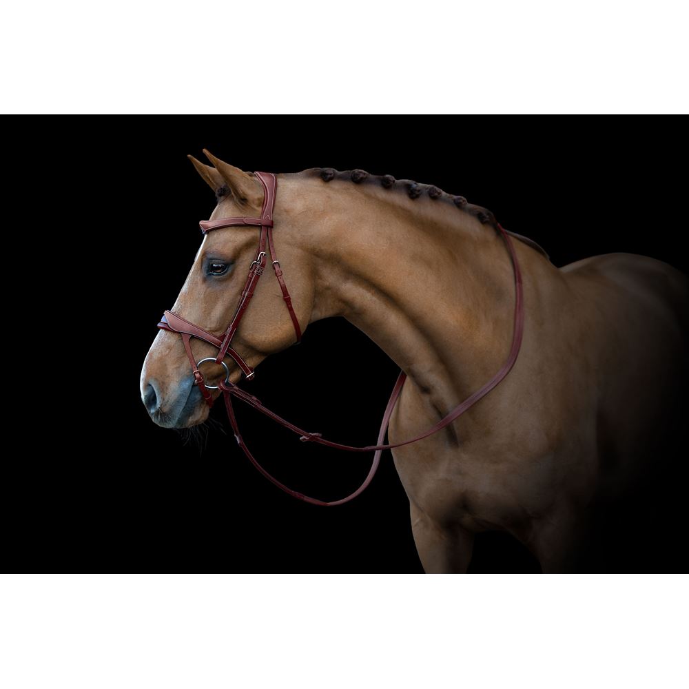 https://www.ikonicsaddlery.com/image?FileId=24245&preset=C_ZOOM
