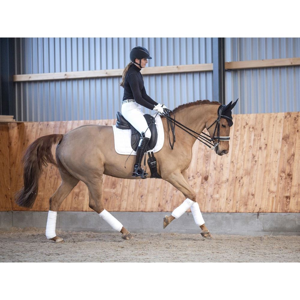 https://www.ikonicsaddlery.com/image?FileId=9438&preset=C_ZOOM