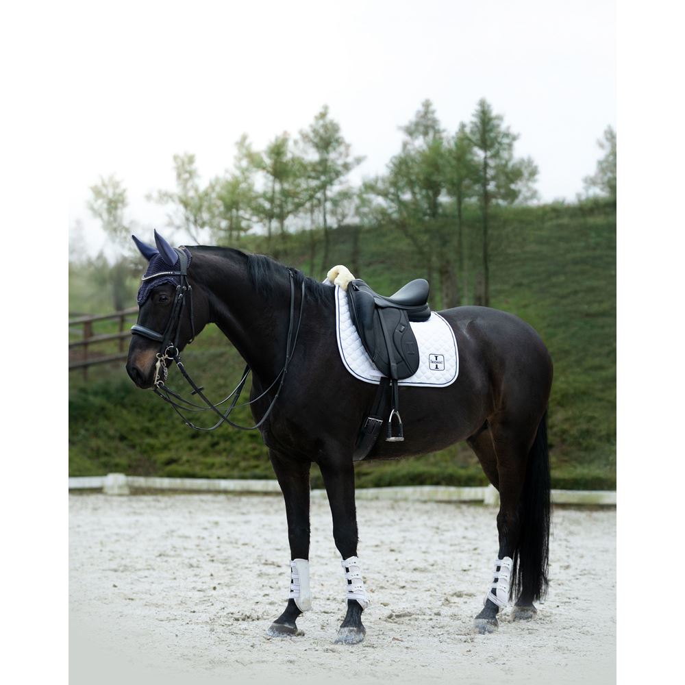 https://www.ikonicsaddlery.com/image?FileId=25576&preset=C_ZOOM