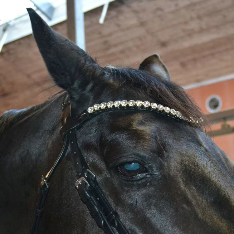 Strasspannband vitt med stora stenar