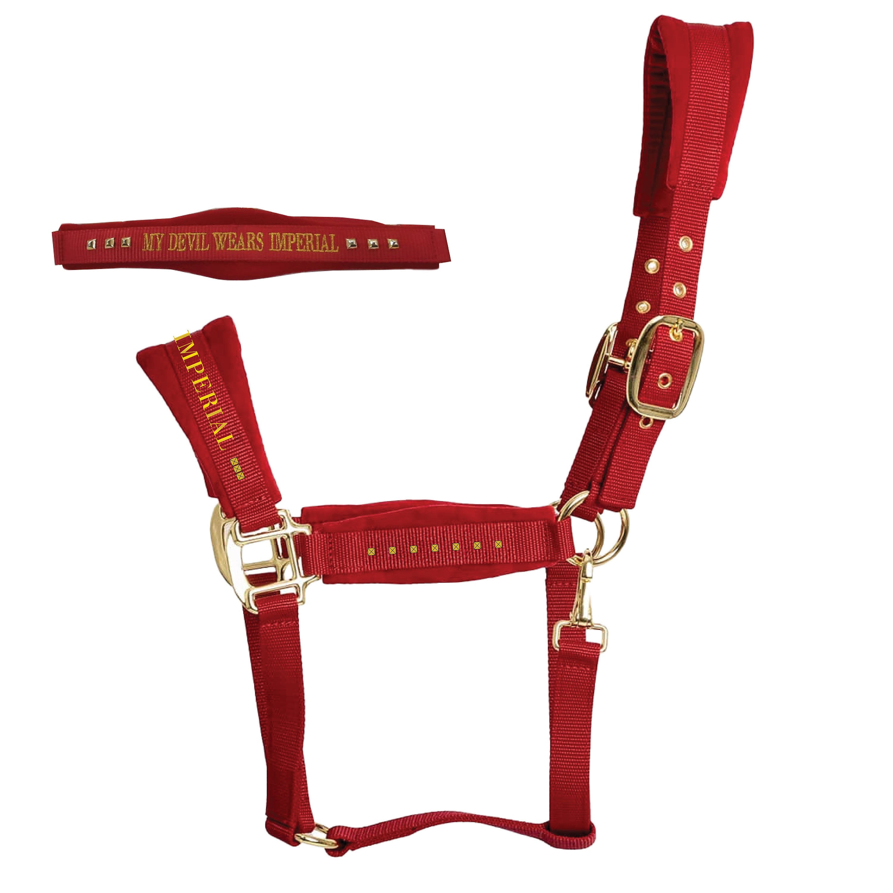 Headcollar IRHDevil