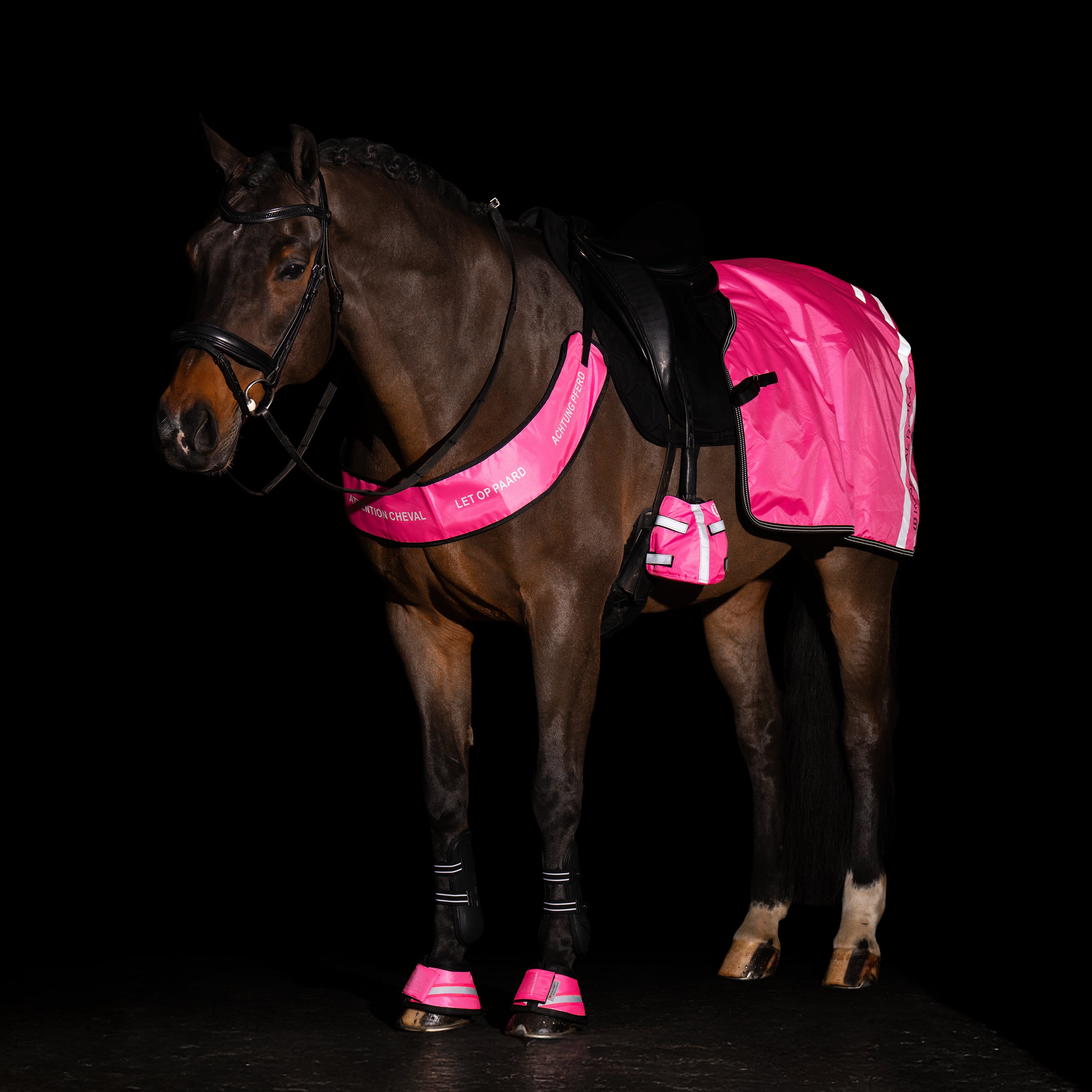 Breast Plate IRHReflective