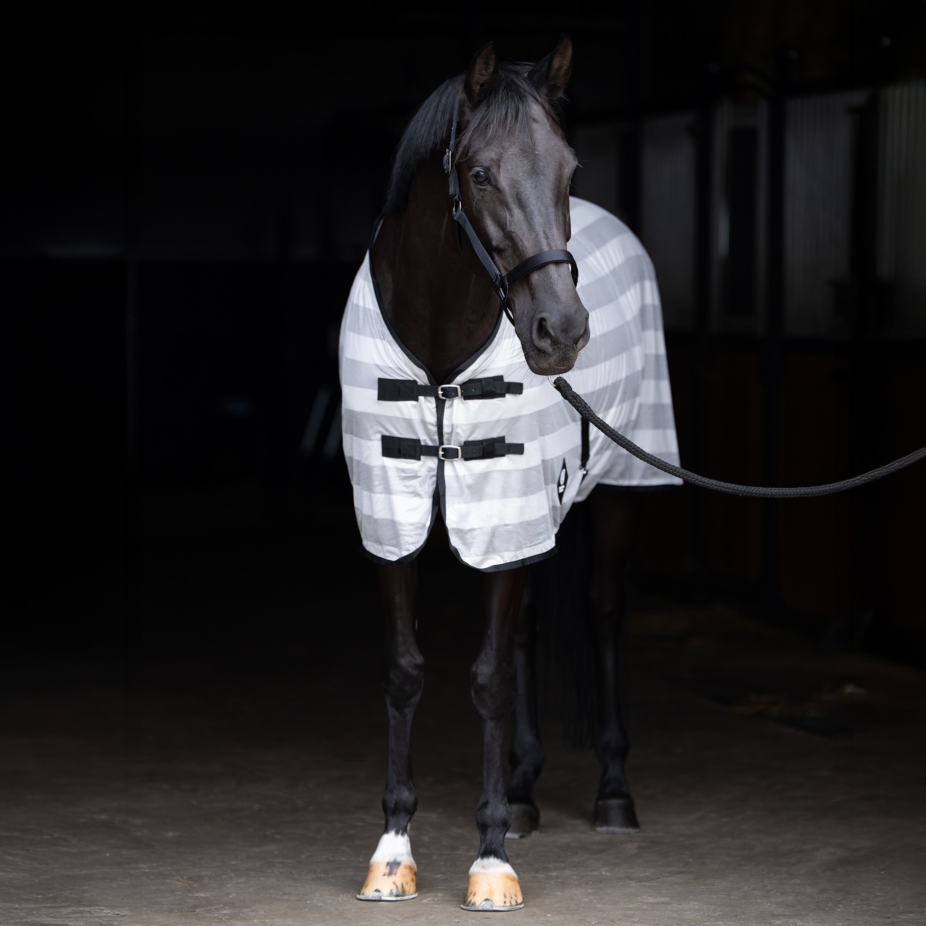 Fly blanket IRHStripe