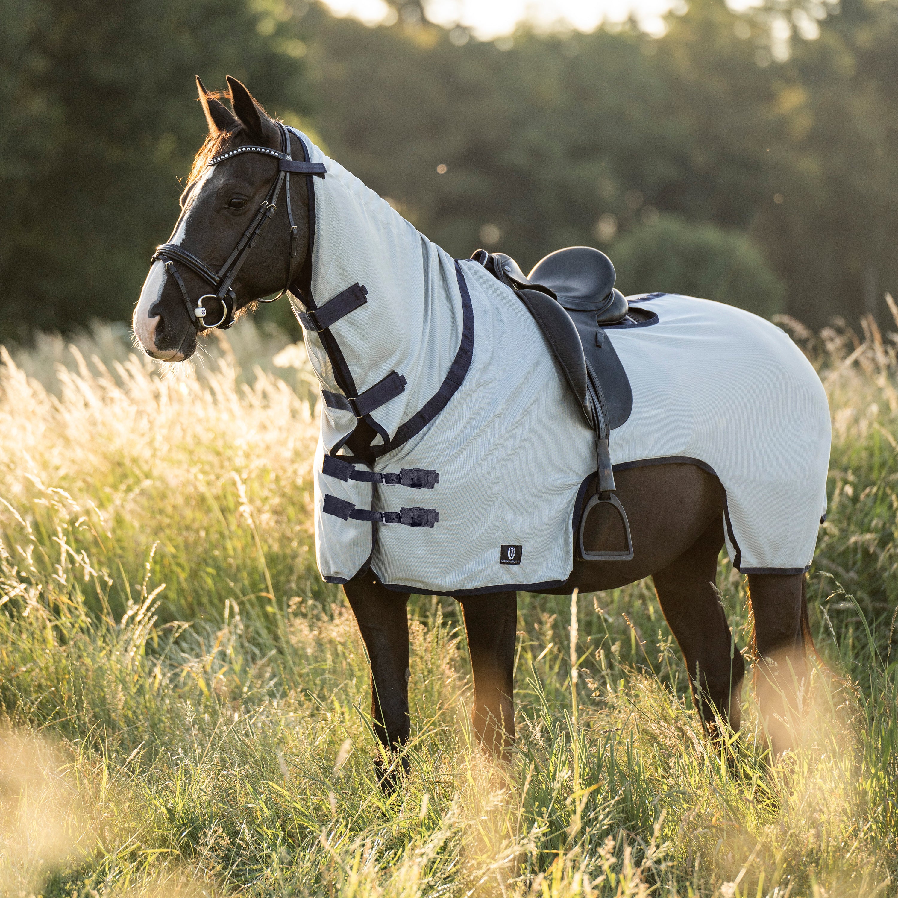 Fly-Exercise blanket IRHRoyce