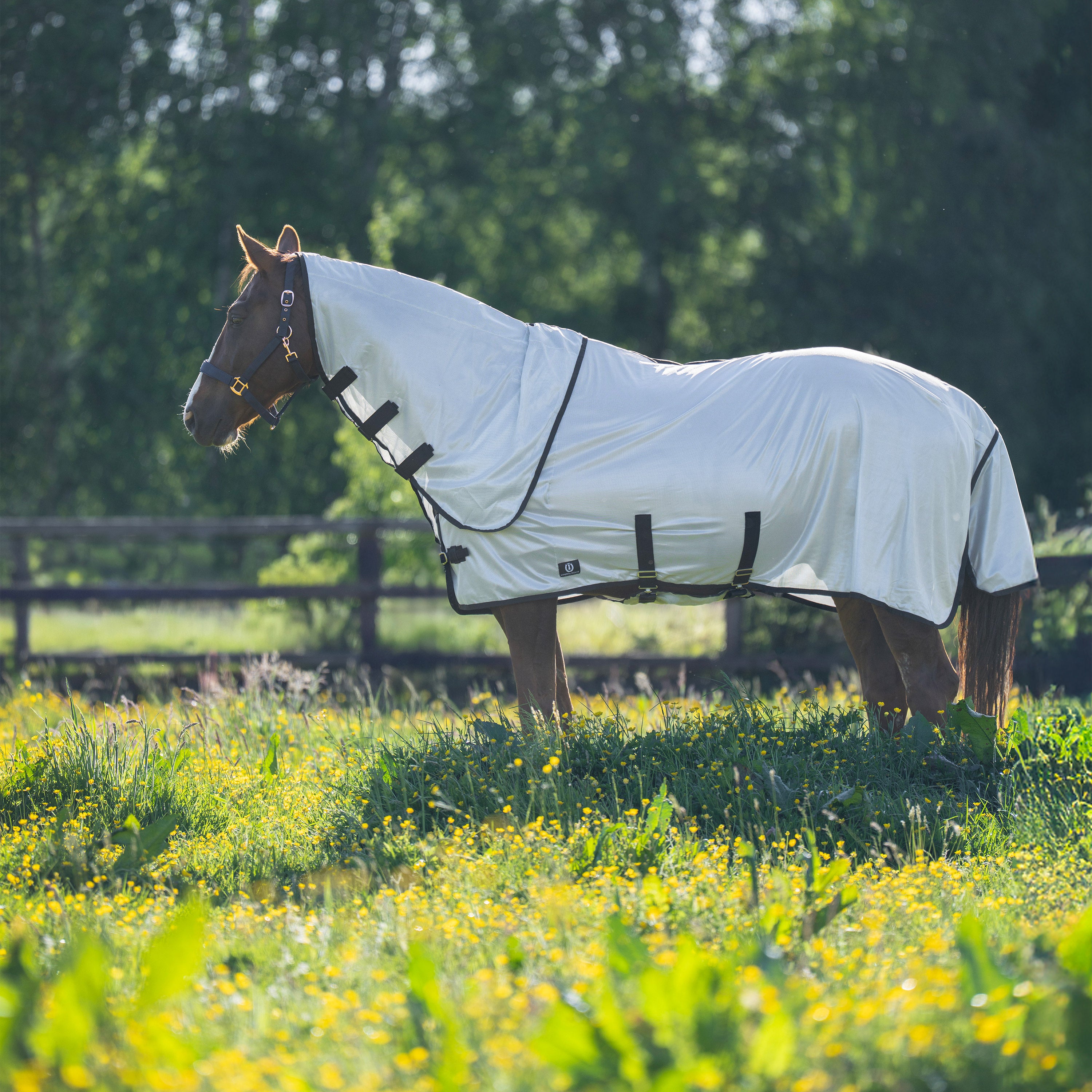 Fly blanket IRHReese