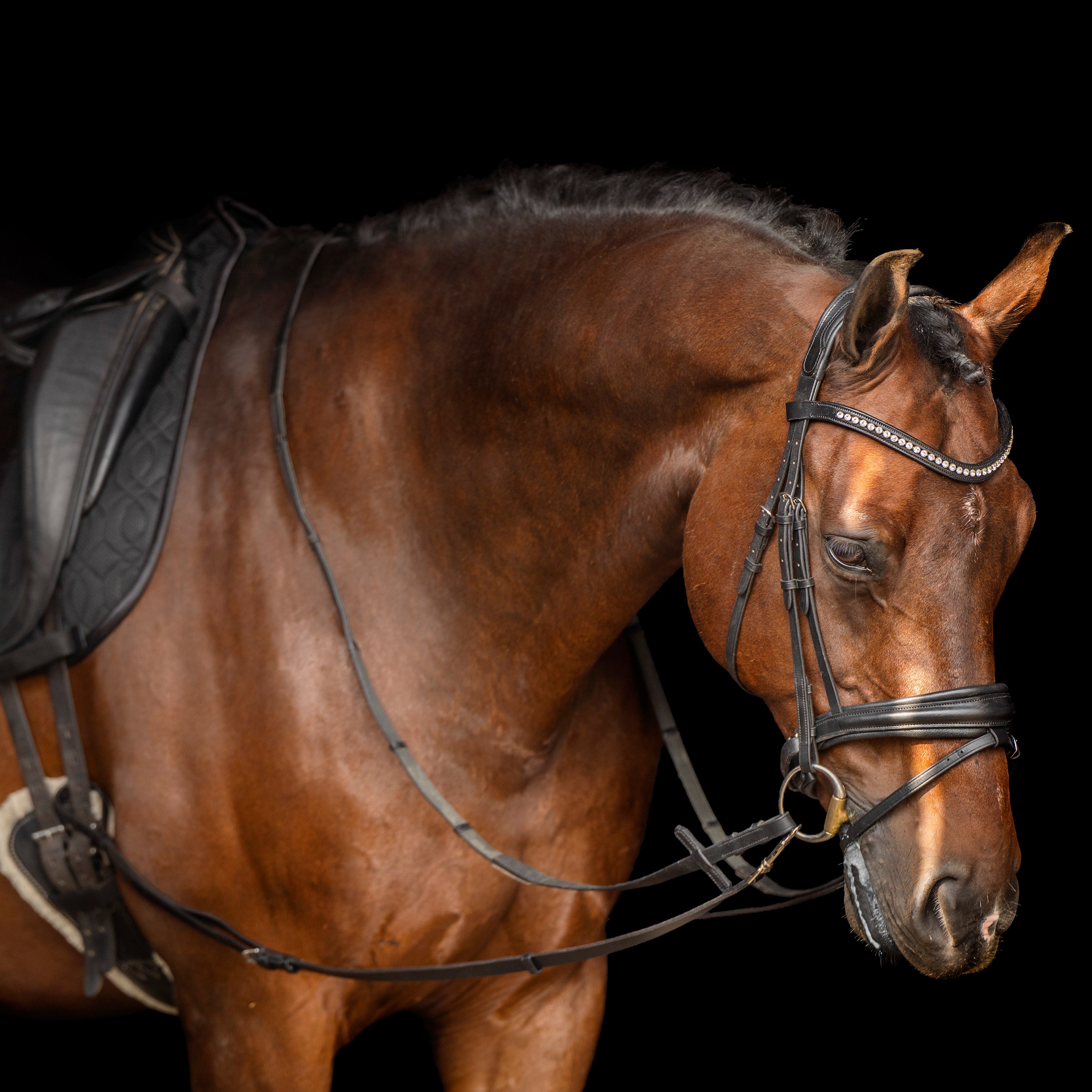 Side reins leather IRHCore