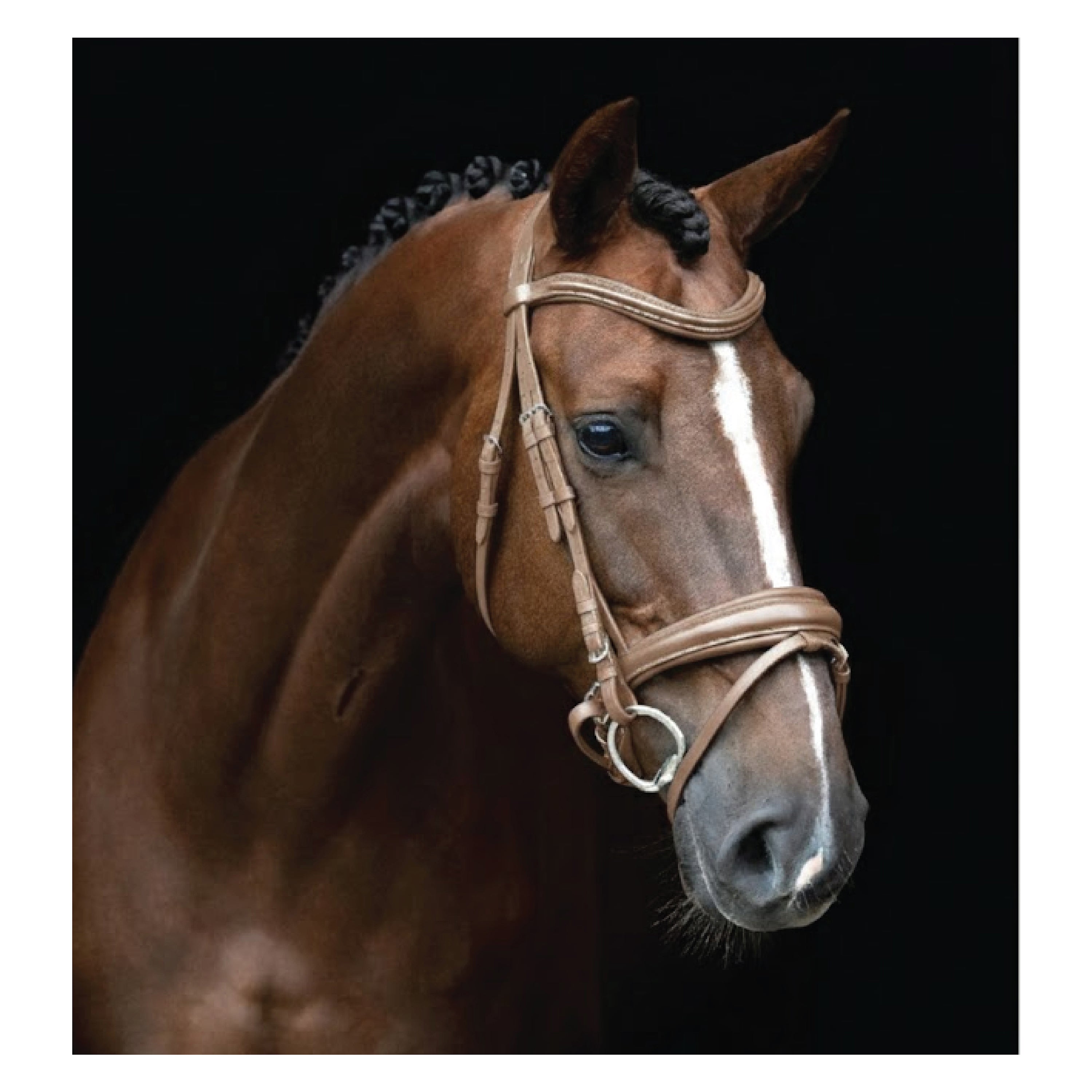 Bridle English IRH combined sleek