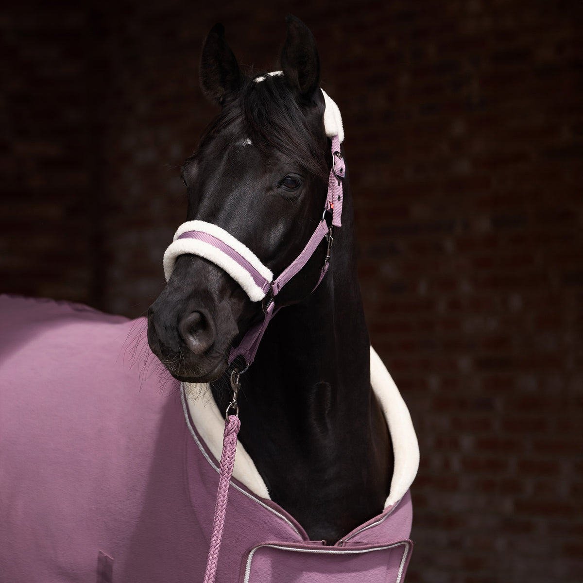Headcollar IRHClassic Fur
