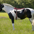 NORTON bareback riding mat
