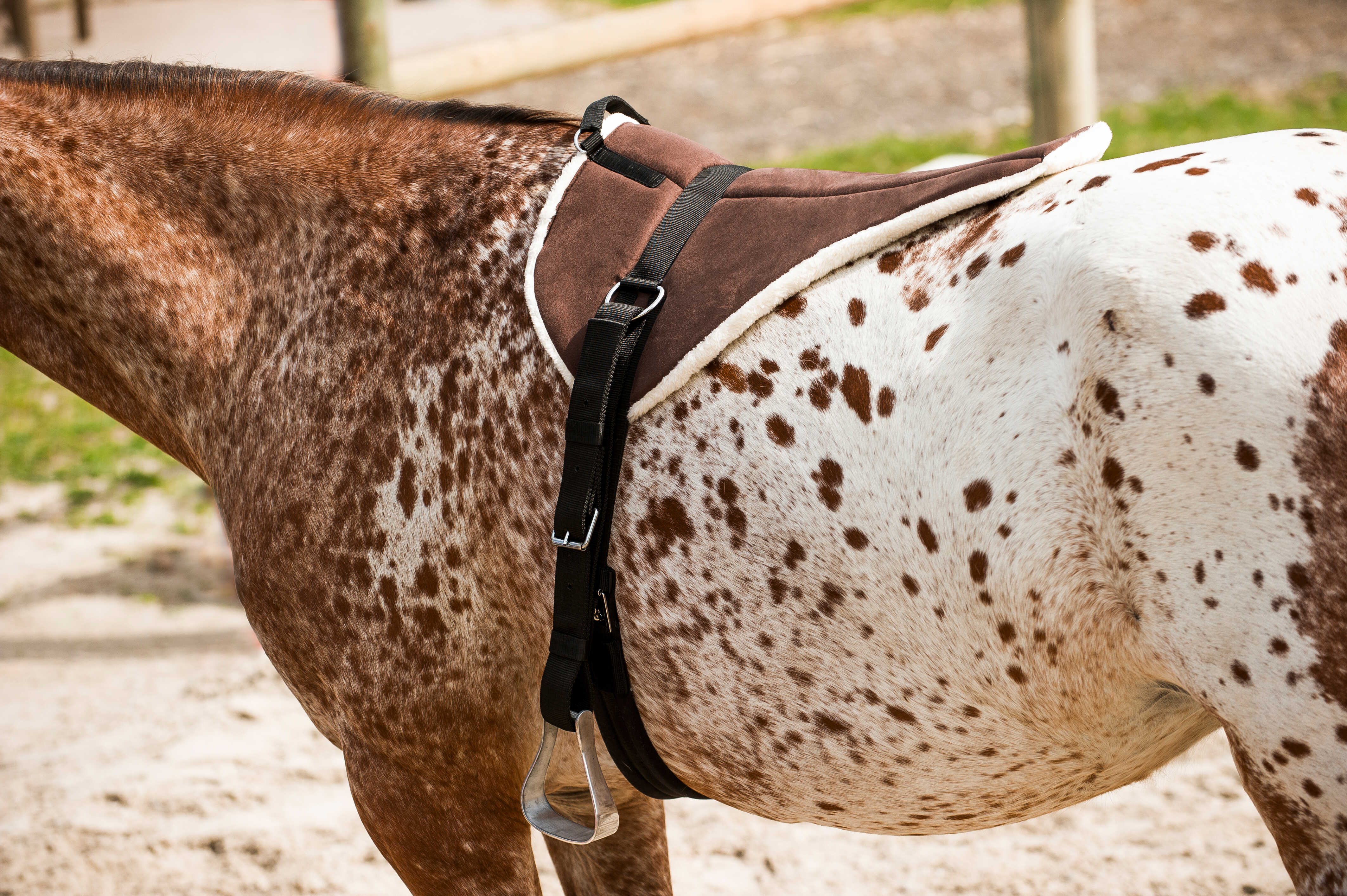 NORTON bareback riding mat - Soft
