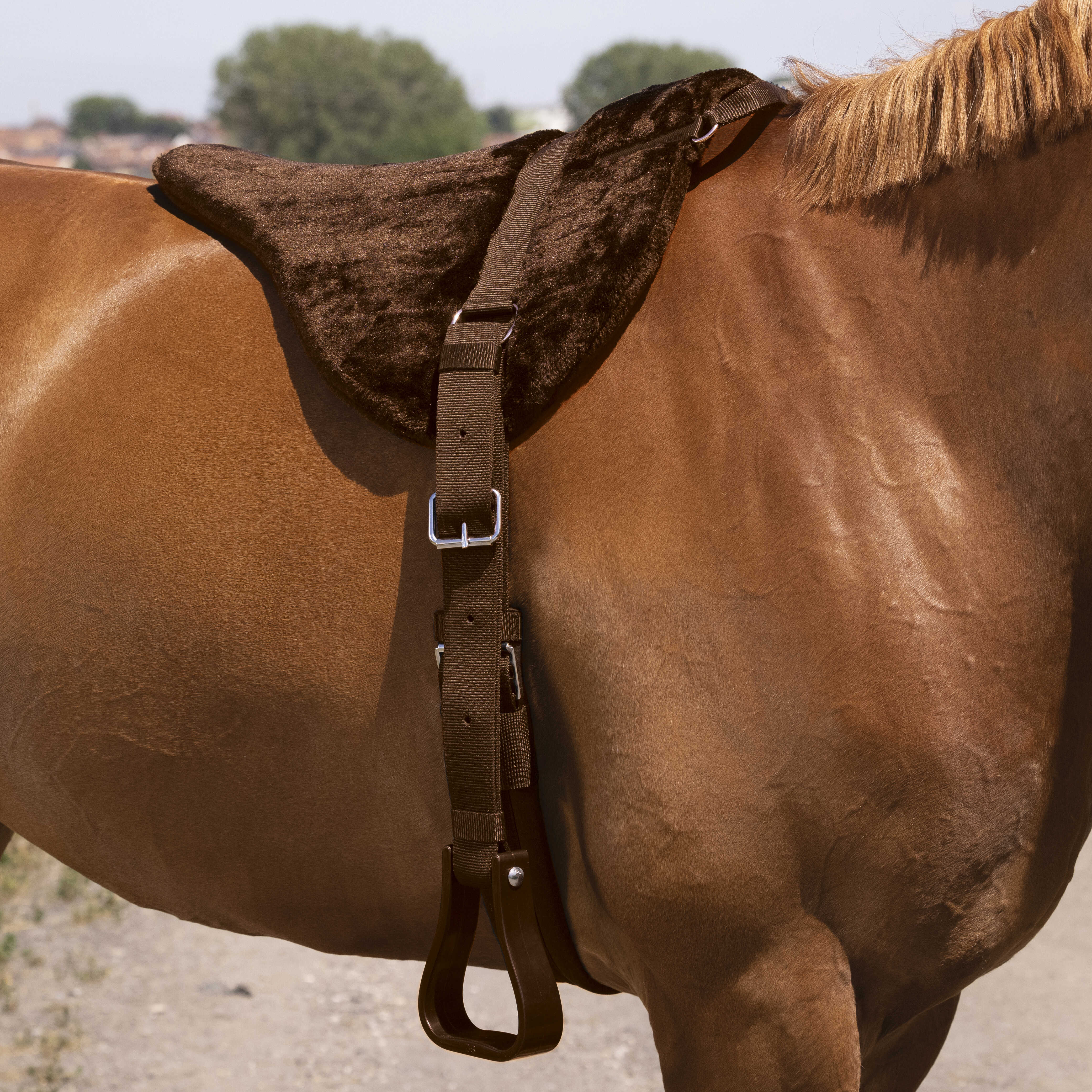 NORTON bareback riding mat - Comfort