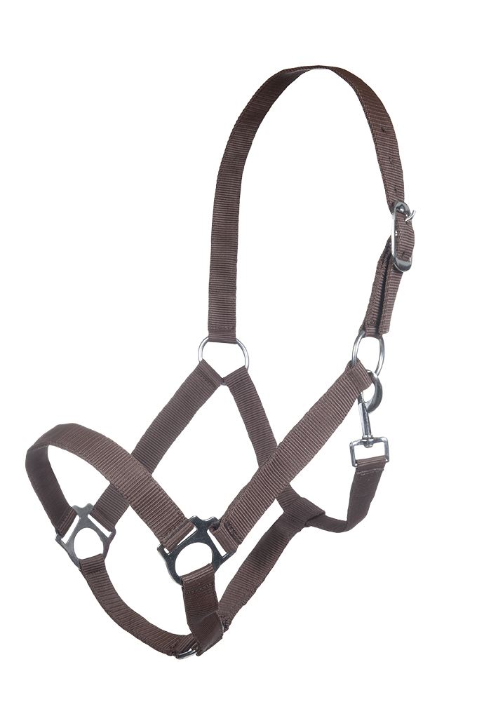 Head collar Innsbruck 2100 dark brown / Pony