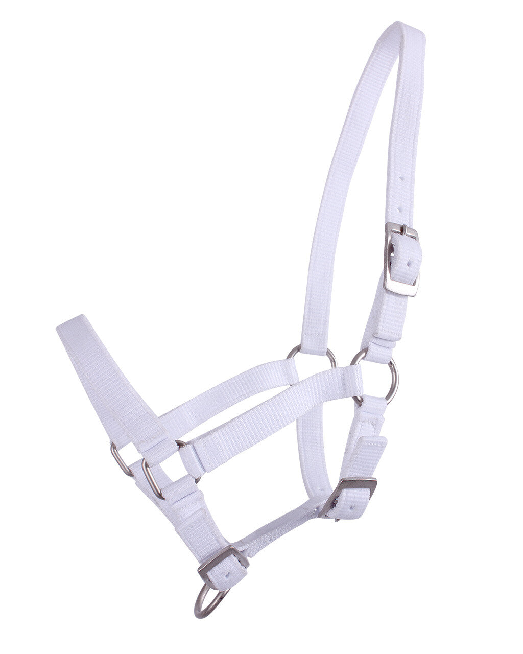 Head collar foal