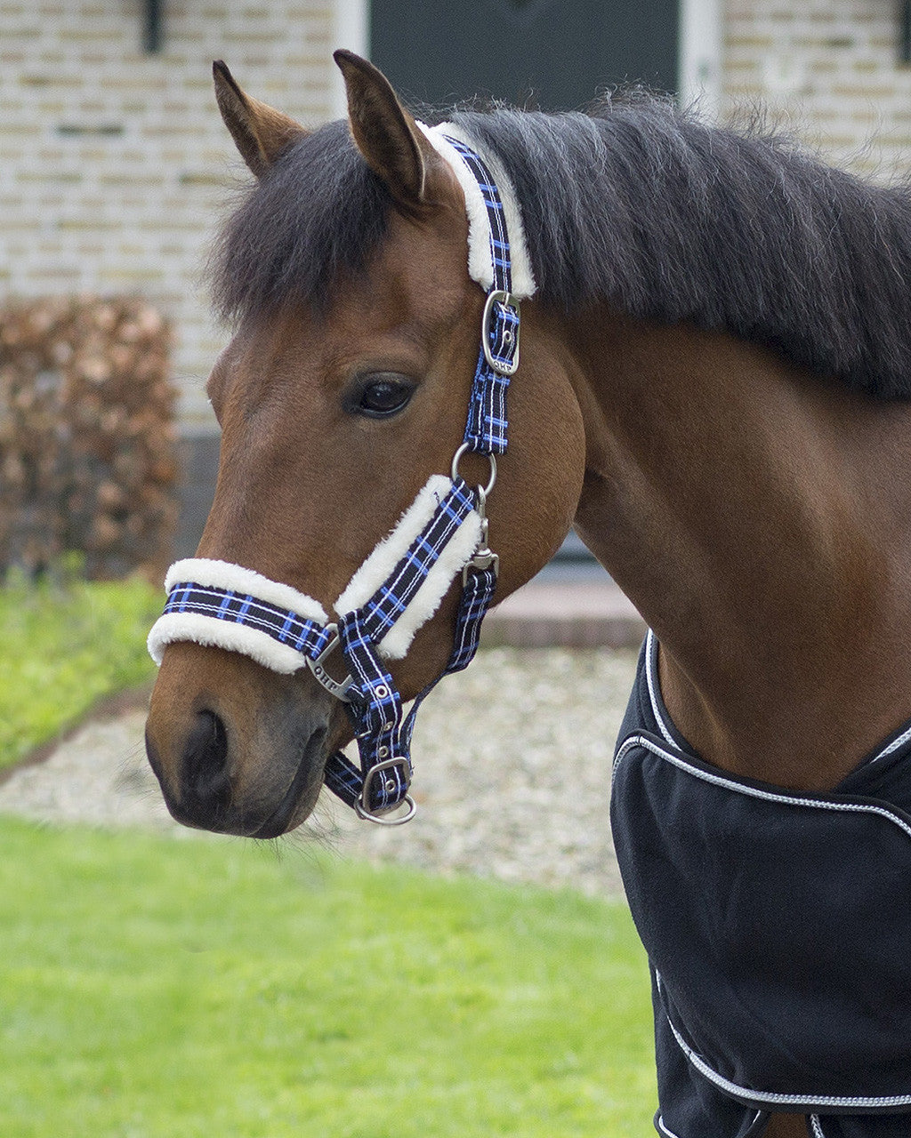 head collar set fur