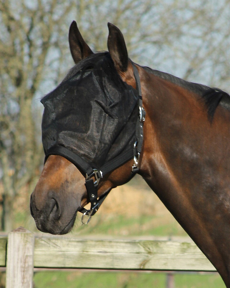 Halter-fly mask combi