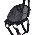 Halter-fly mask combi