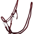 Rope halter with rein