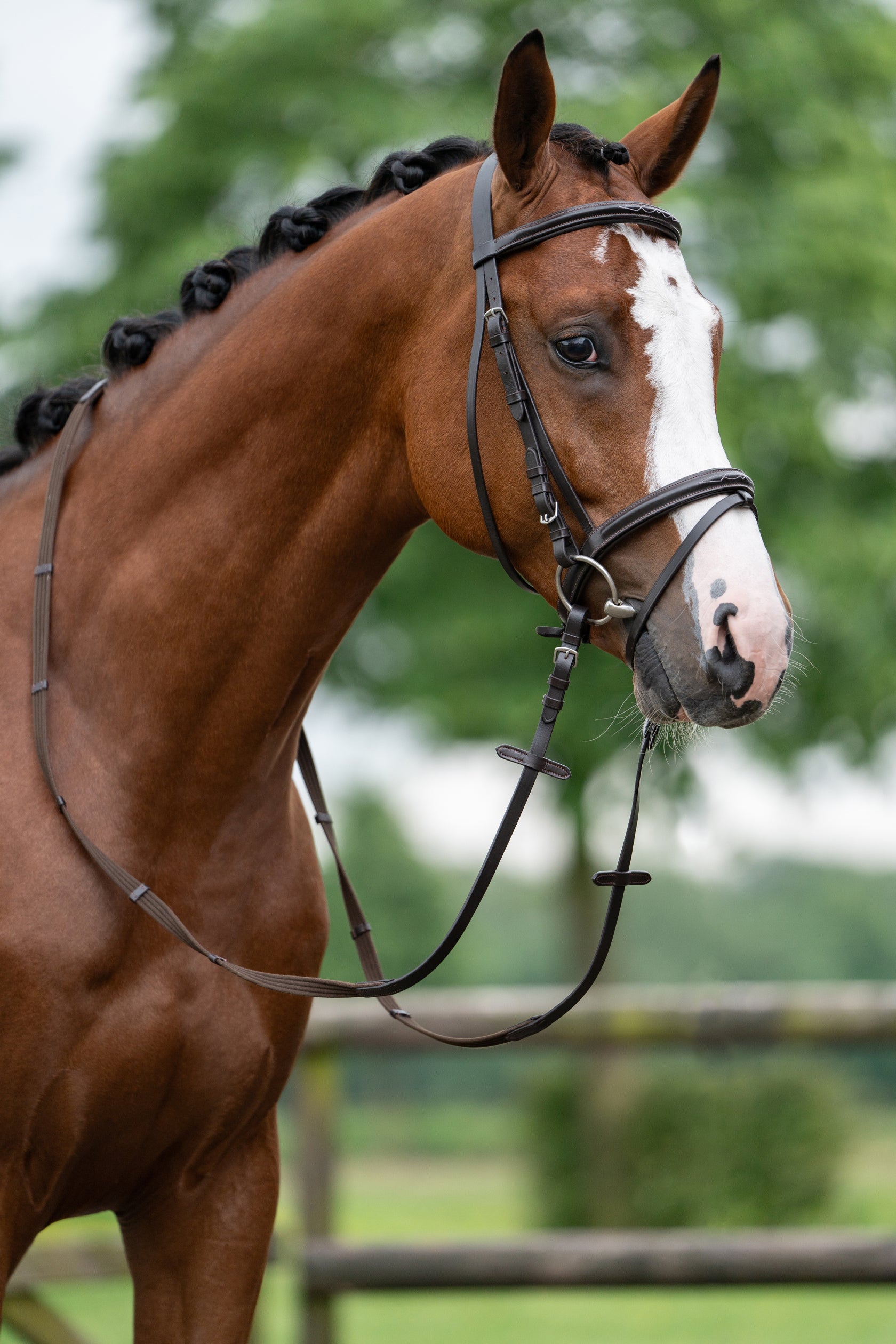 Bridle Jana 2400 brown / Pony