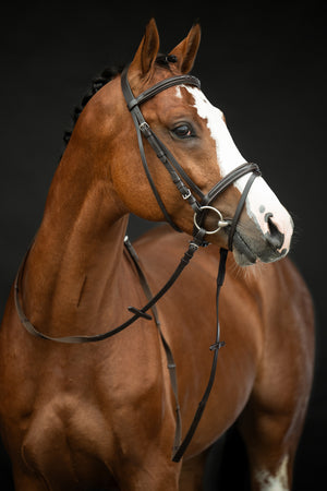 Bridle Jana 2400 brown / Pony