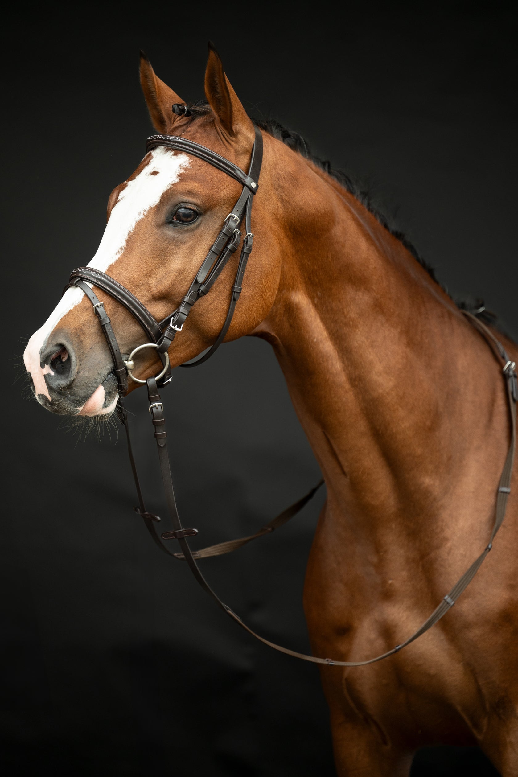 Bridle Jana 2400 brown / Pony