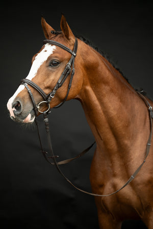 Bridle Jana 2400 brown / Pony