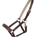 Head collar foal leather Lupine