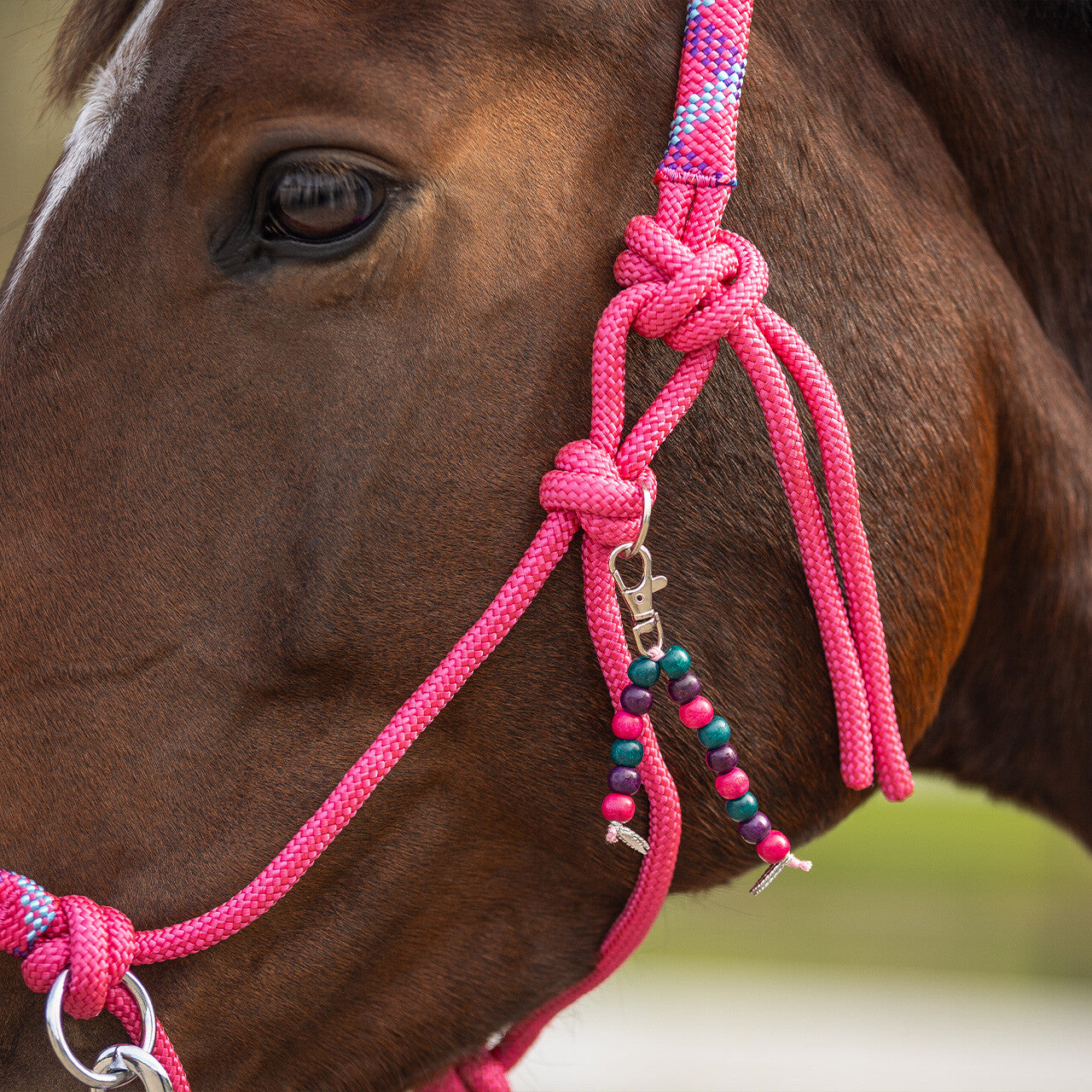 Rope halter combi Liberty