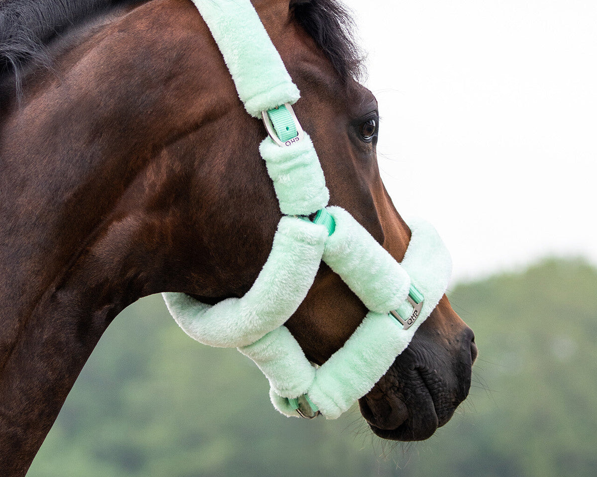 Head collar Alaska
