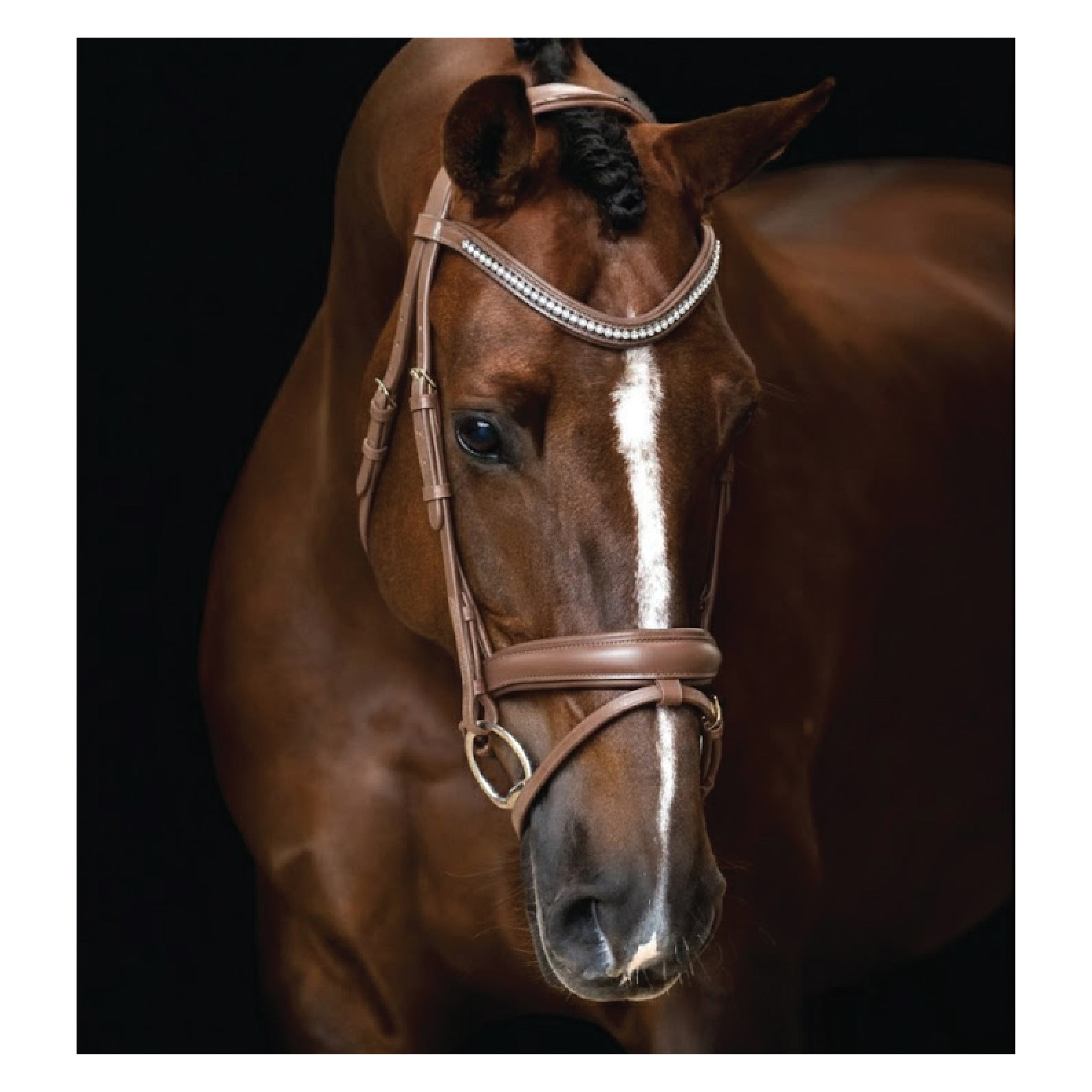 Bridle IRH combined noseband simple